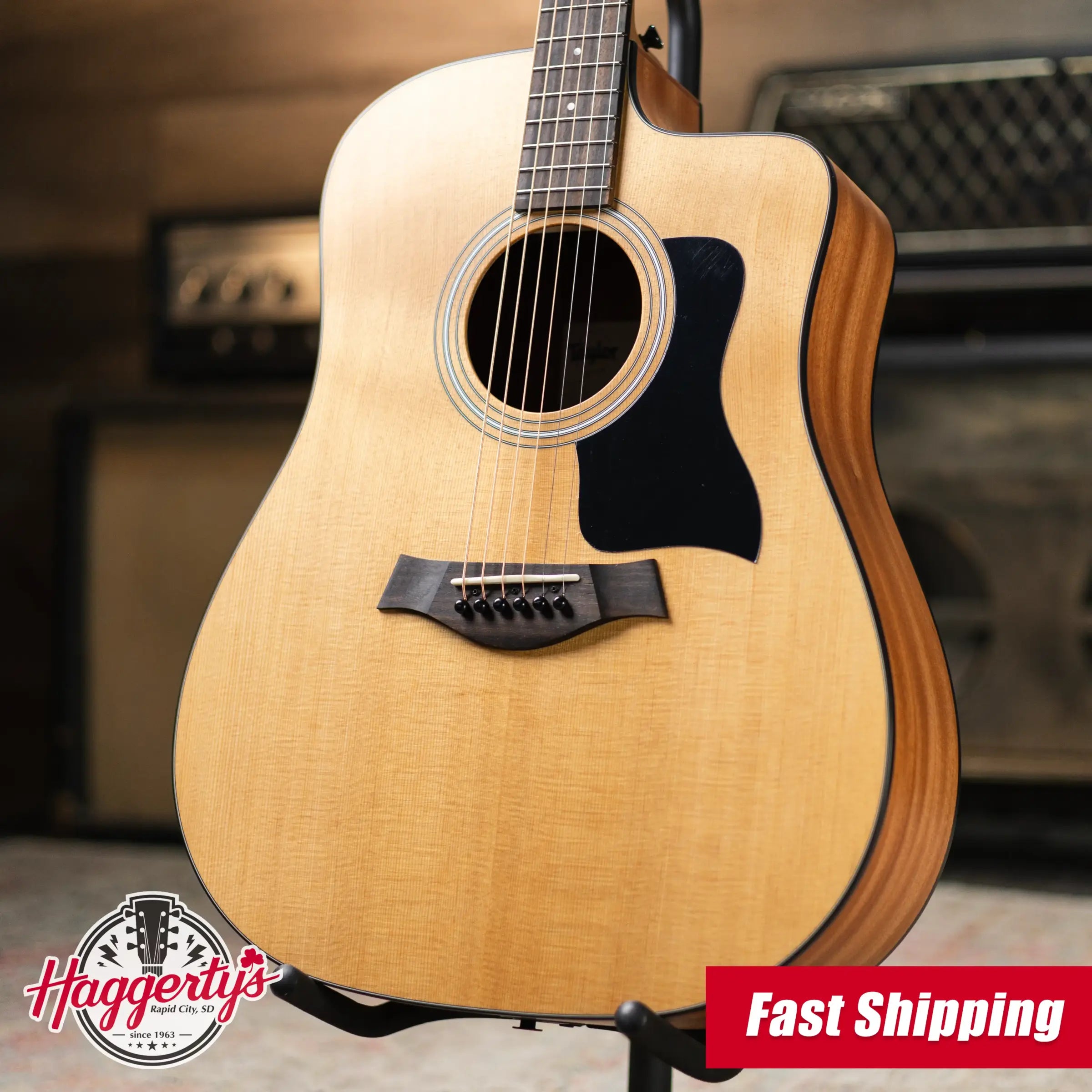 Taylor 110ce Dreadnought Acoustic/Electric Guitar with Gig Bag