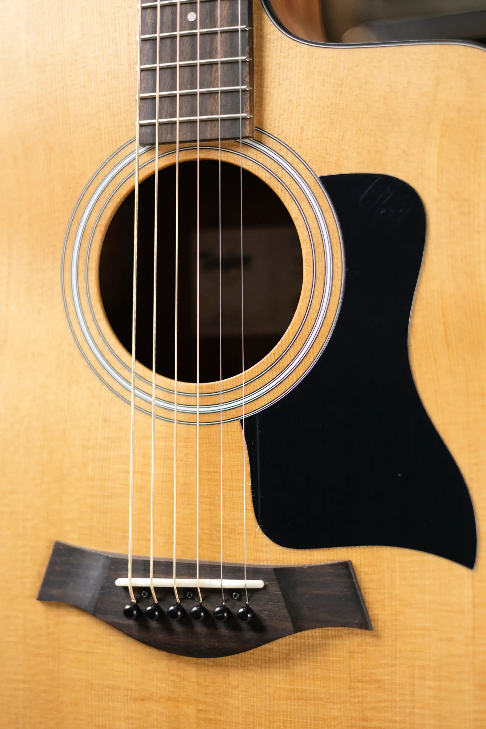 Taylor 110ce Dreadnought Acoustic/Electric Guitar with Gig Bag