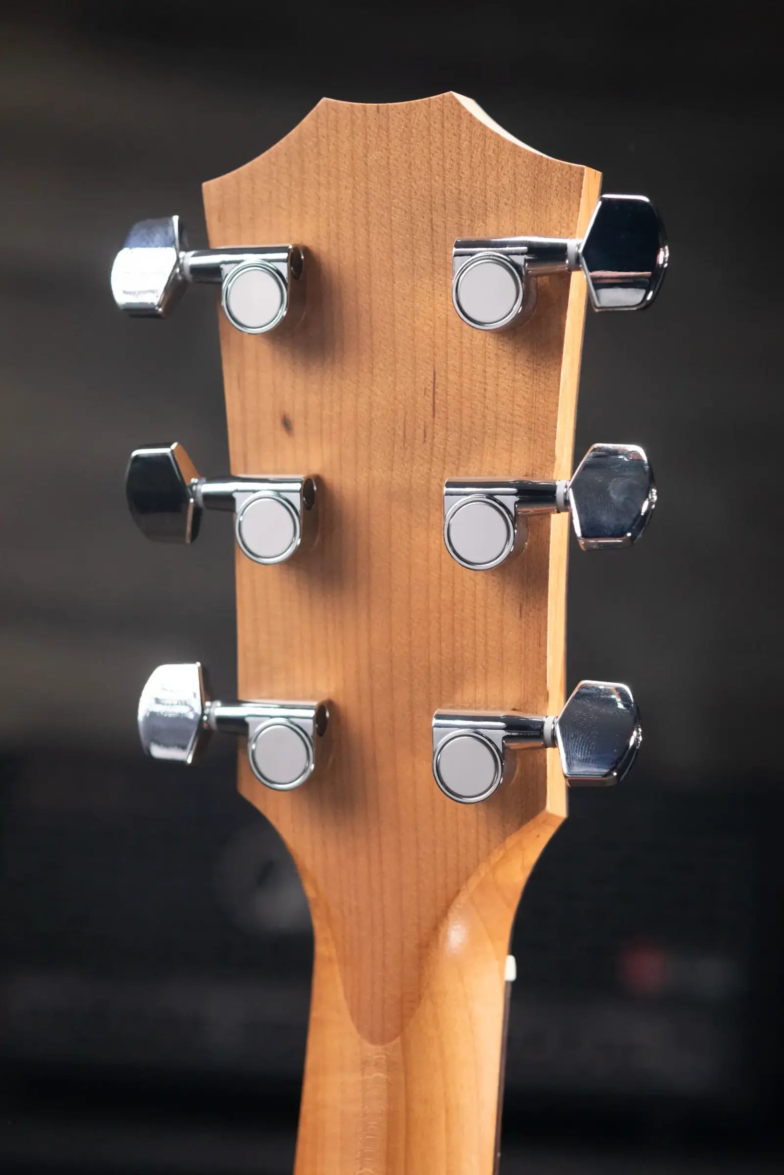 Taylor 110ce Dreadnought Acoustic/Electric Guitar with Gig Bag