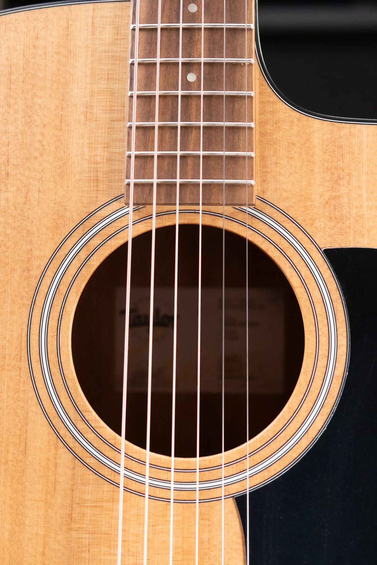 Taylor 110ce Dreadnought Acoustic/Electric Guitar with Gig Bag