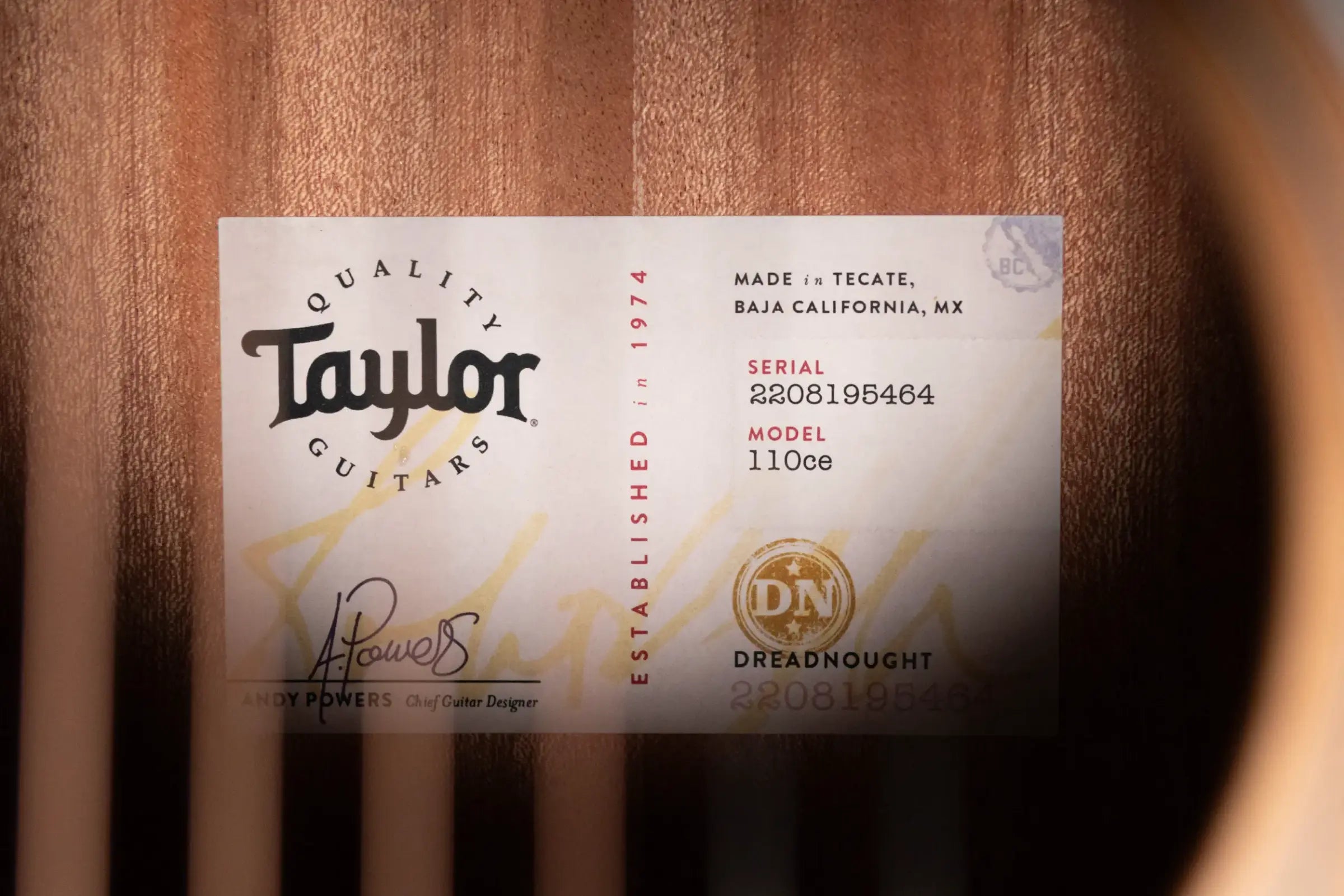 Taylor 110ce Dreadnought Acoustic/Electric Guitar with Gig Bag