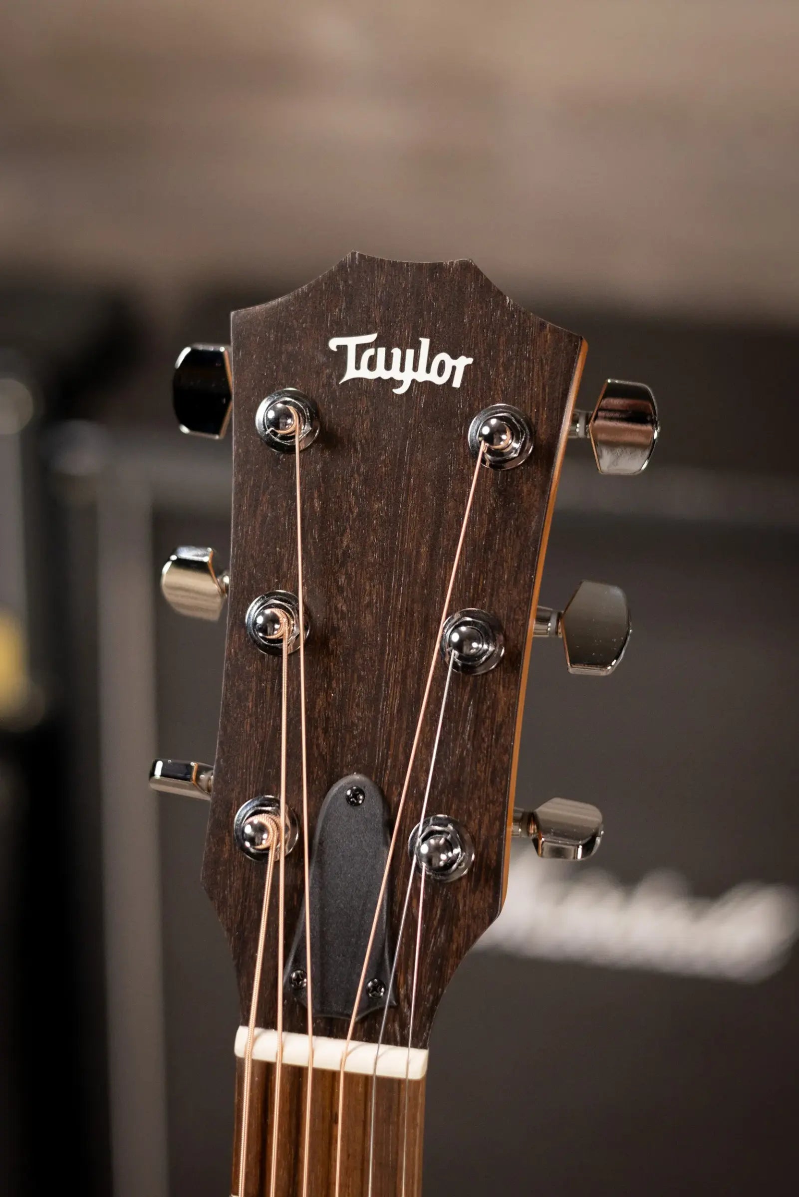 Taylor 110ce Dreadnought Acoustic/Electric Guitar with Gig Bag