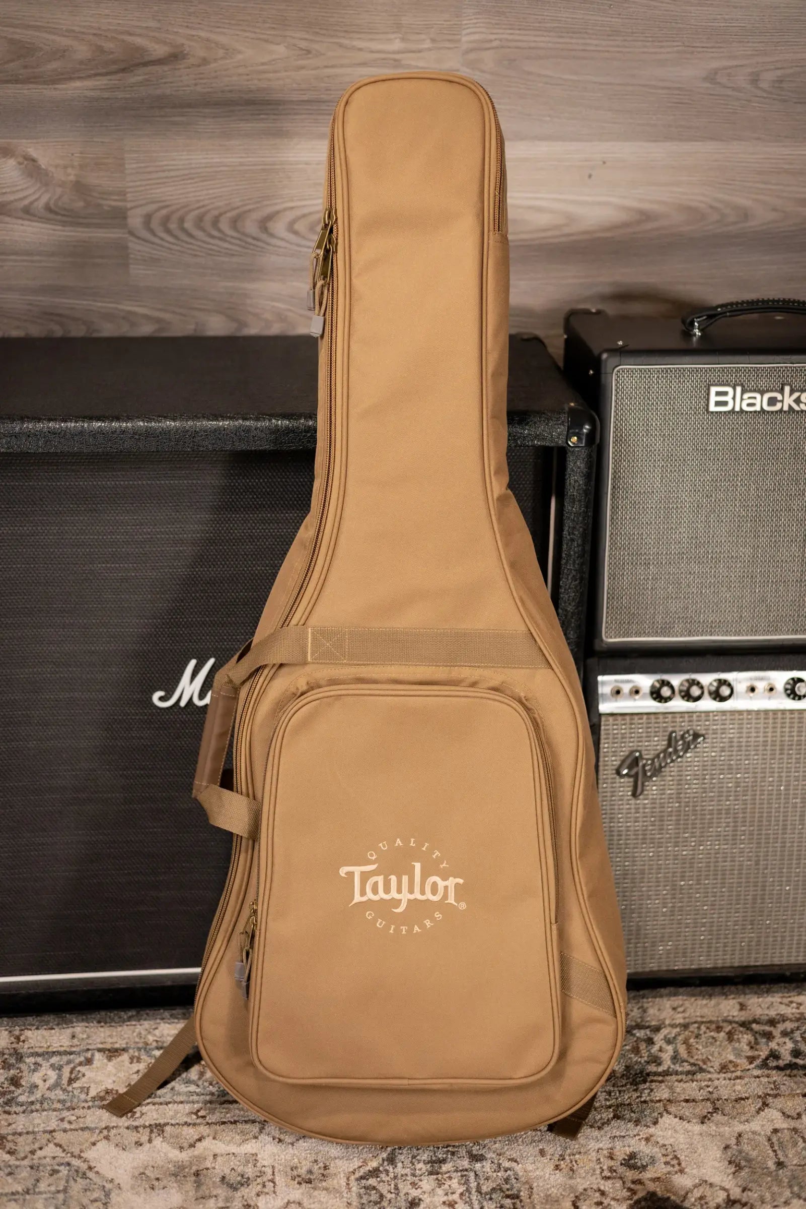 Taylor 110ce Dreadnought Acoustic/Electric Guitar with Gig Bag