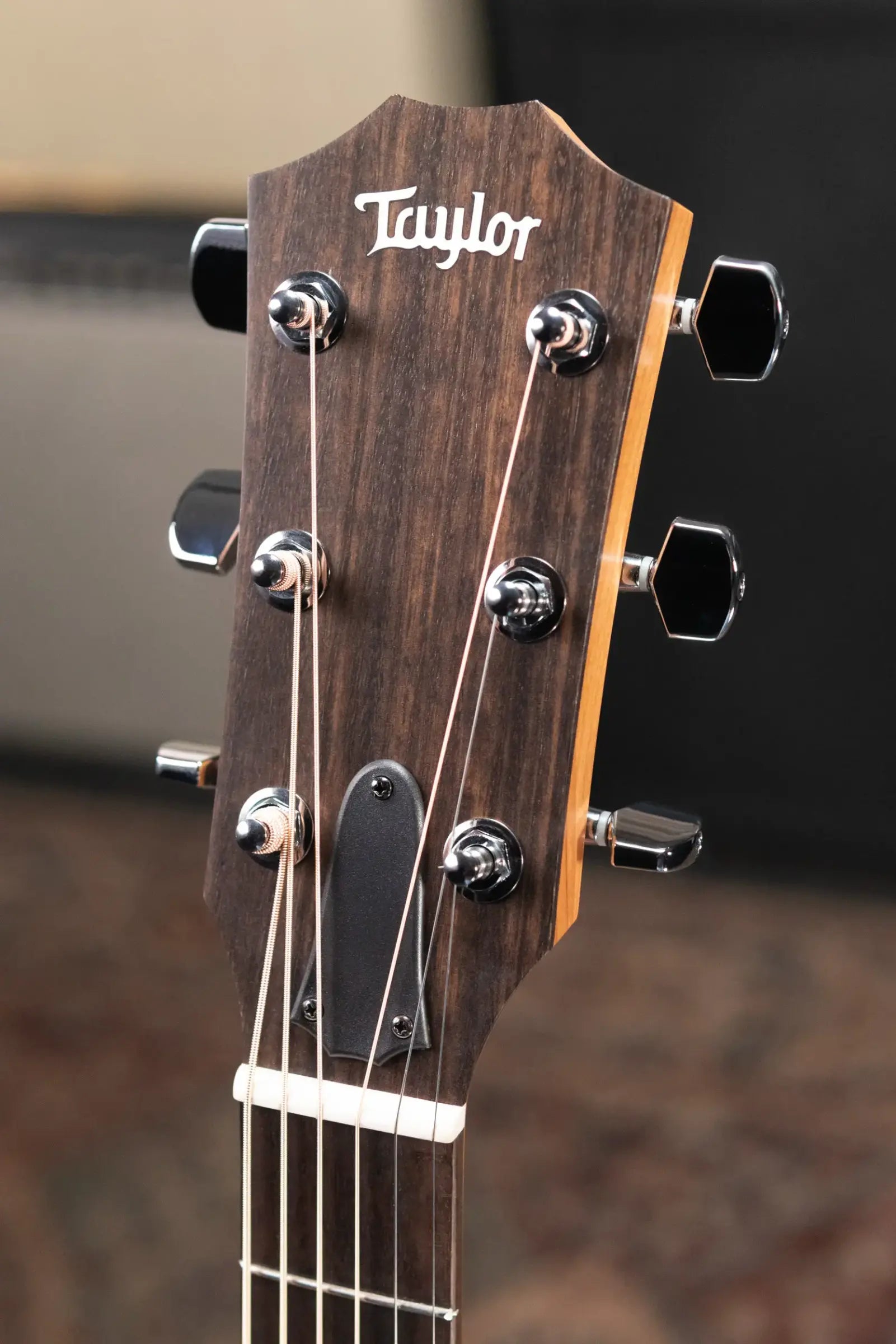 Taylor 110ce Dreadnought Acoustic-Electric Guitar with Structured Gig Bag