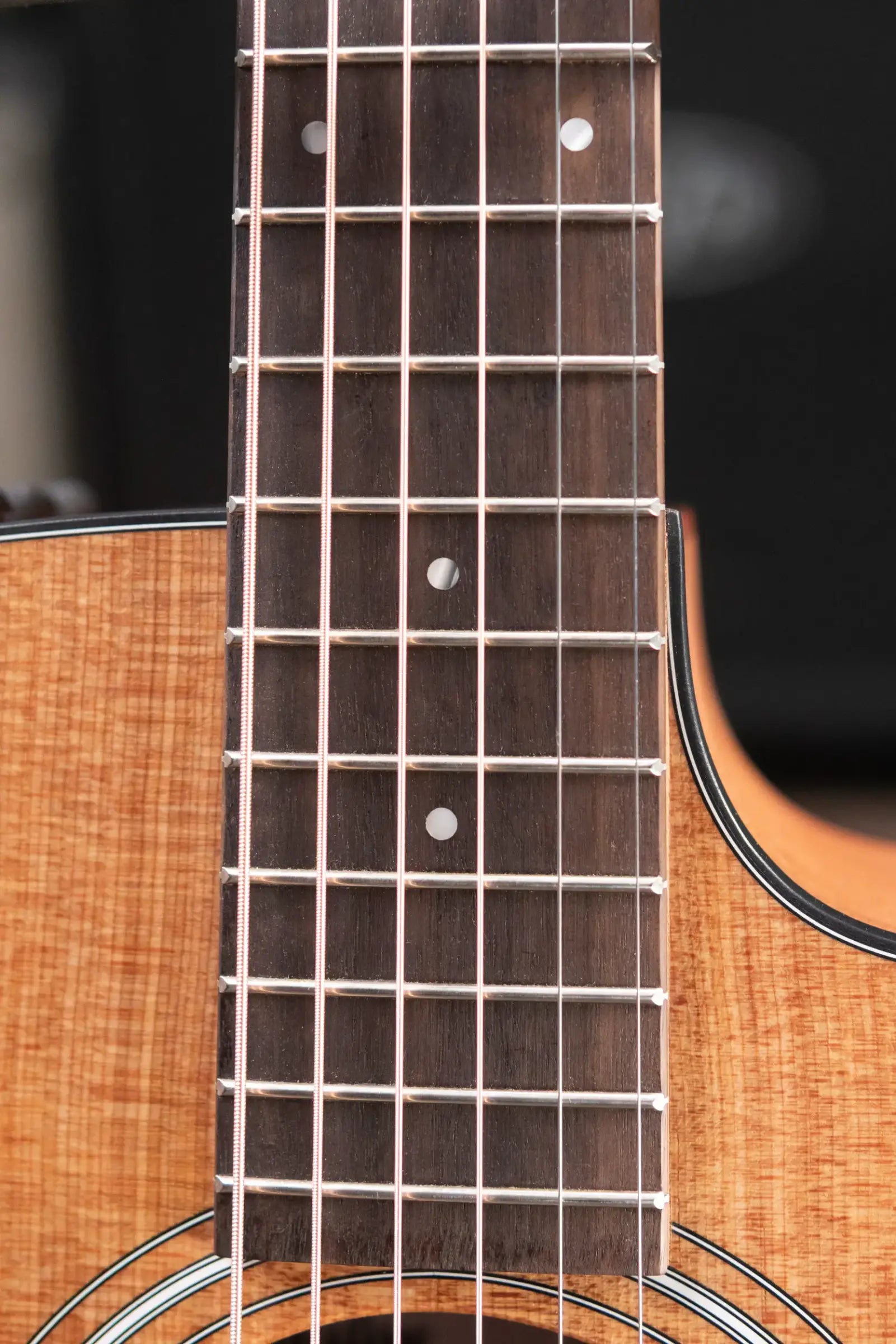 Taylor 110ce Dreadnought Acoustic-Electric Guitar with Structured Gig Bag