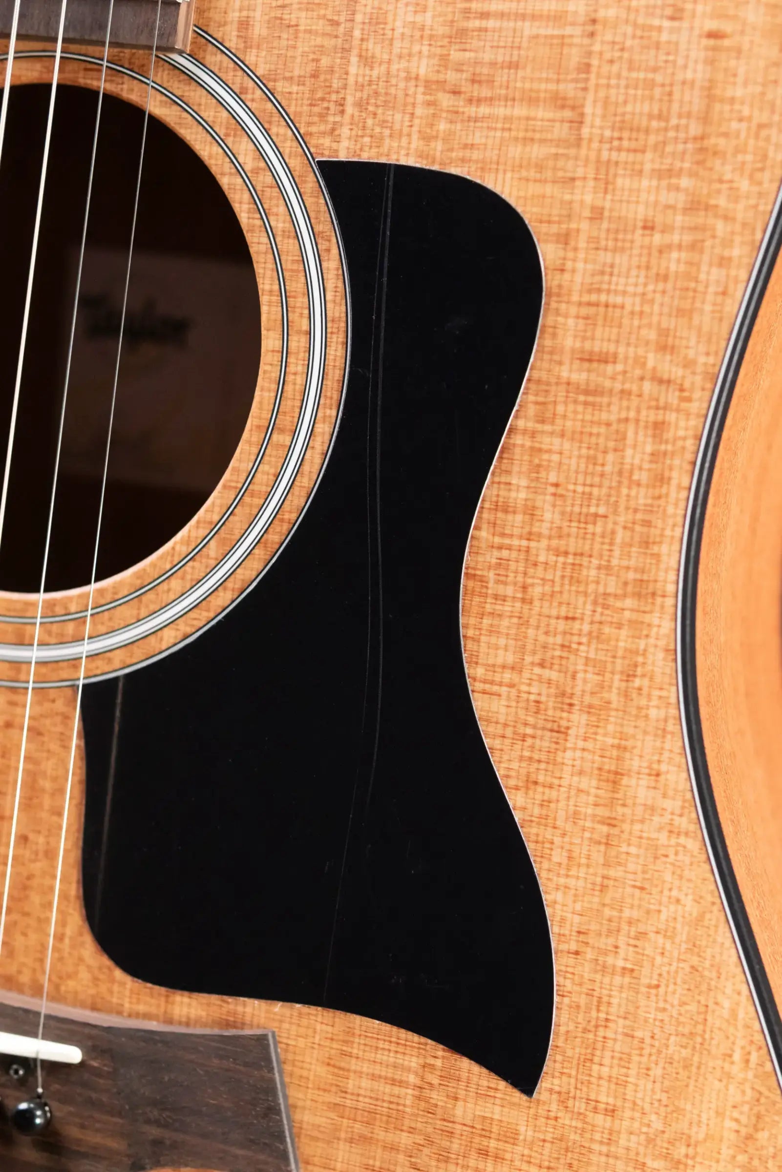 Taylor 110ce Dreadnought Acoustic-Electric Guitar with Structured Gig Bag