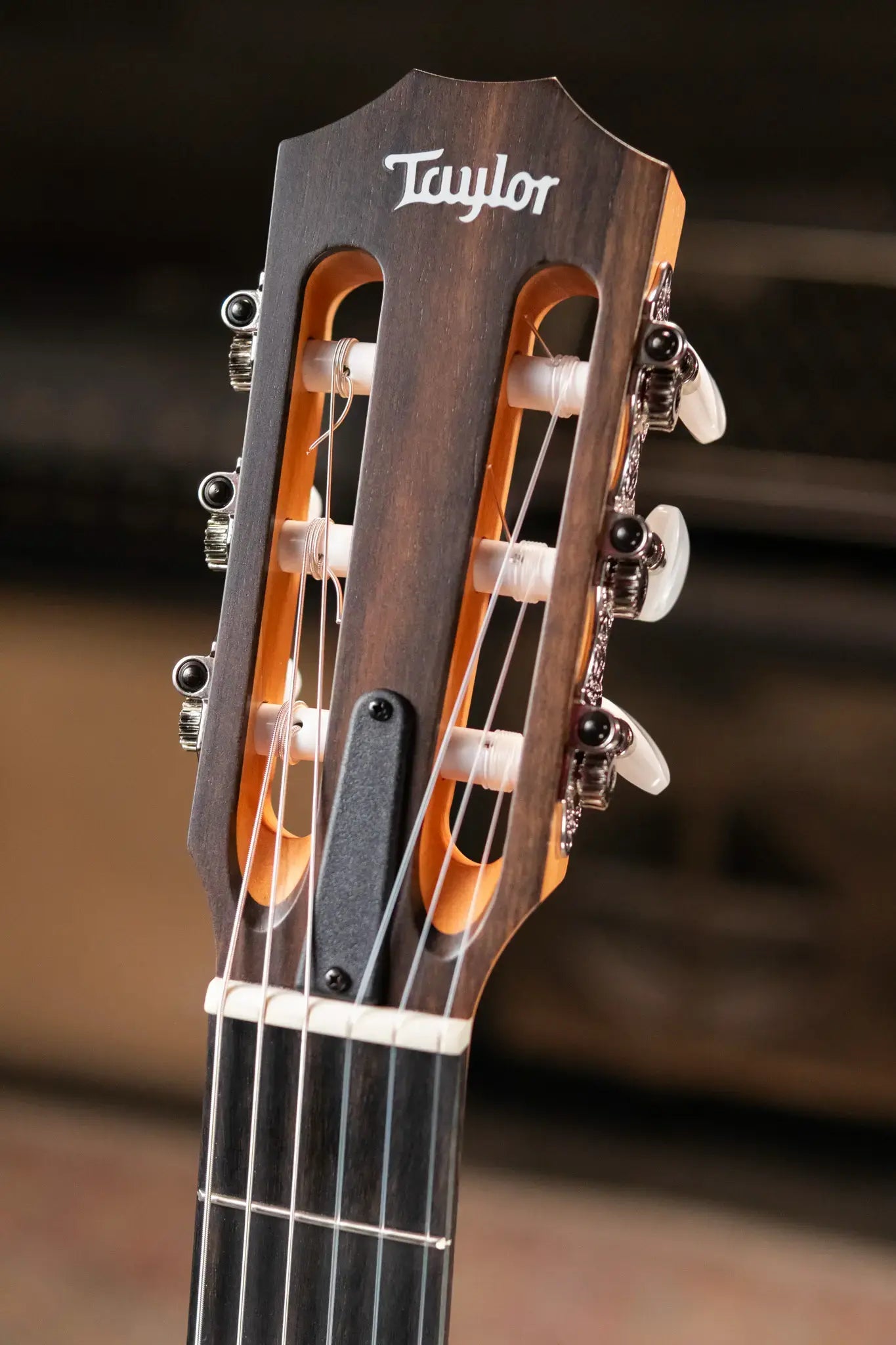 Taylor 112ce-N Nylon Grand Concert Acoustic/Electric Guitar with Gig Bag