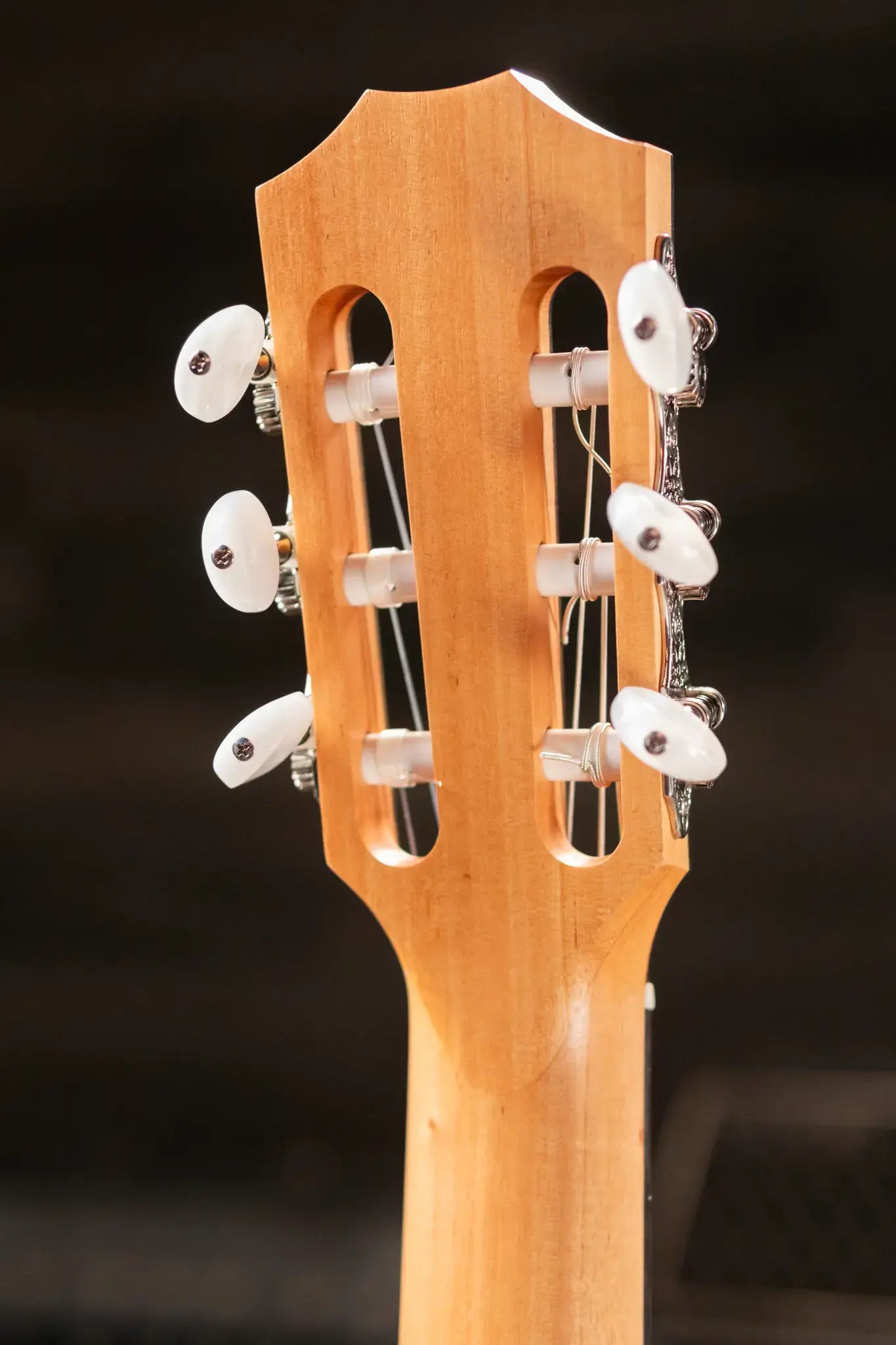 Taylor 112ce-N Nylon Grand Concert Acoustic/Electric Guitar with Gig Bag