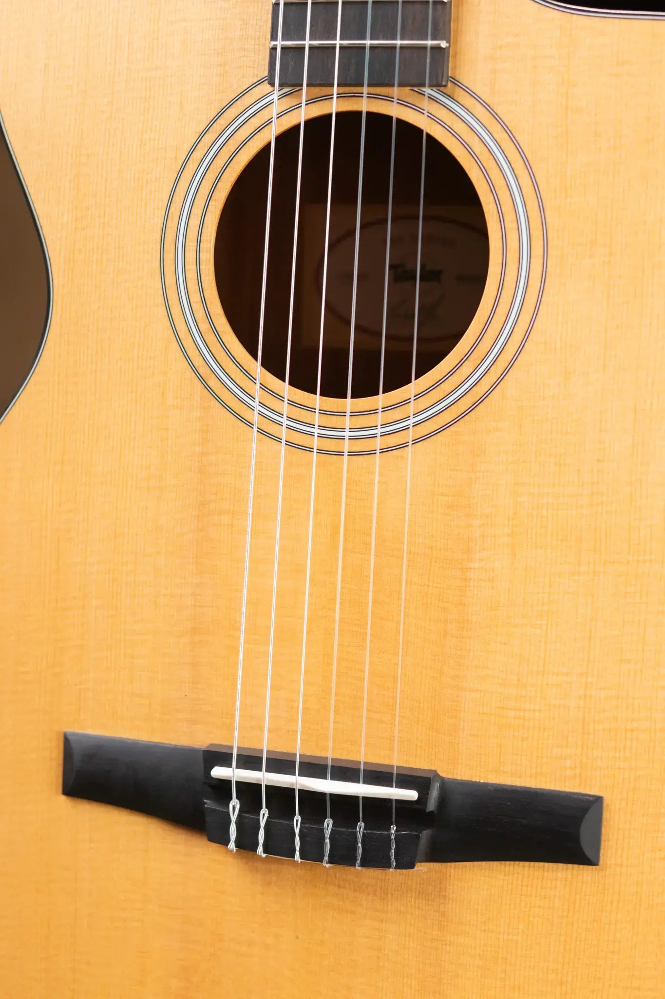 Taylor 112ce-N Nylon Grand Concert Acoustic/Electric Guitar with Gig Bag