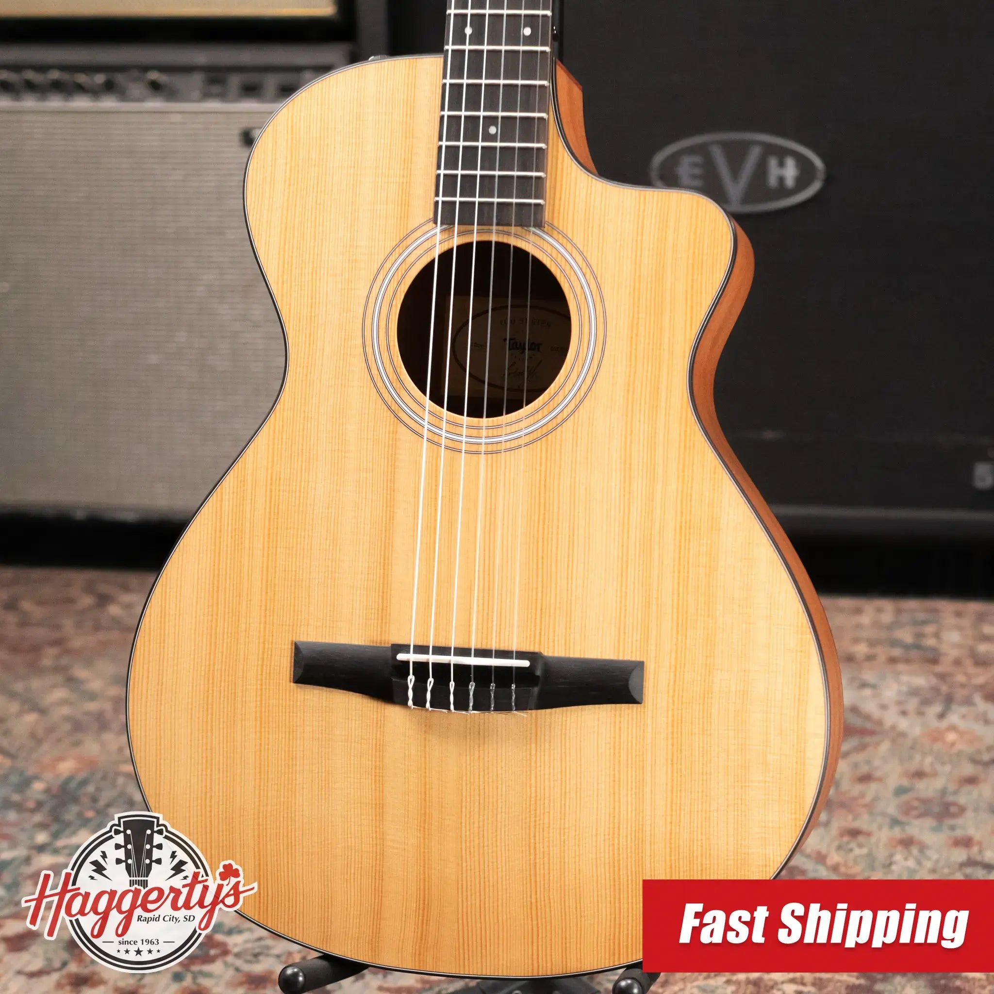 Taylor 112ce-N Nylon Grand Concert Acoustic/Electric Guitar with Gig Bag