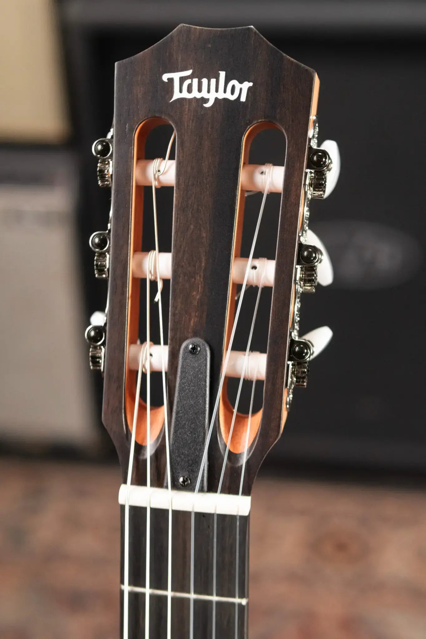 Taylor 112ce-N Nylon Grand Concert Acoustic/Electric Guitar with Gig Bag