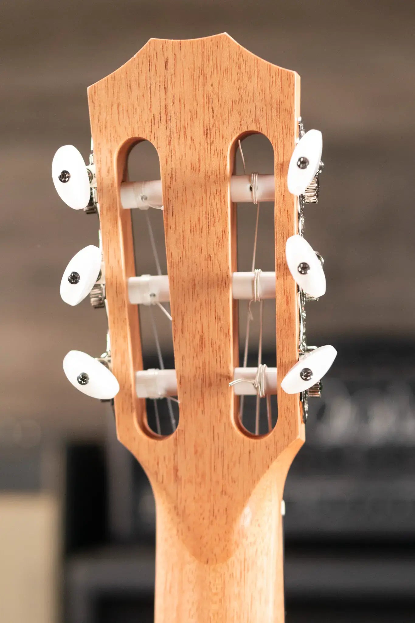 Taylor 112ce-N Nylon Grand Concert Acoustic/Electric Guitar with Gig Bag