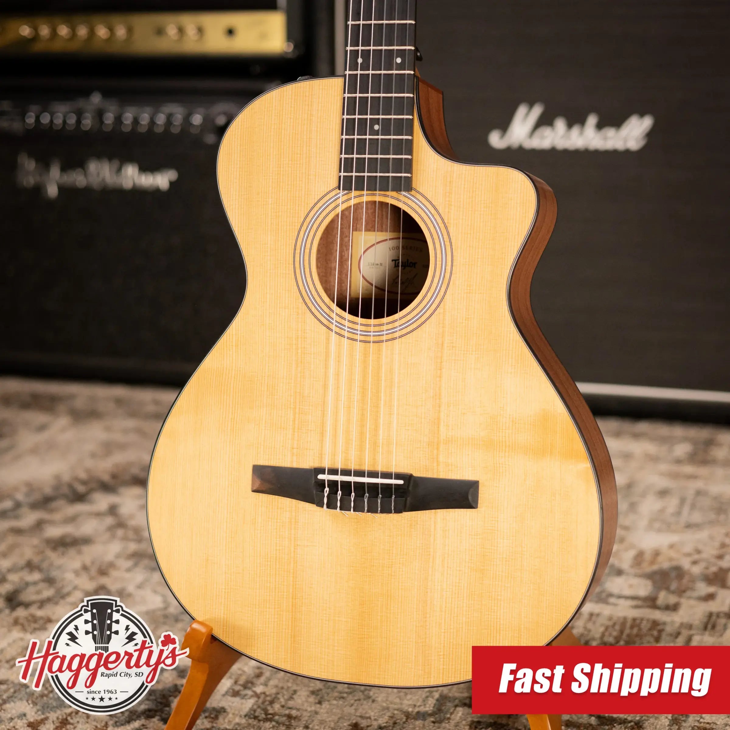 Taylor 112ce-N Nylon Grand Concert Acoustic/Electric Guitar with Gig Bag