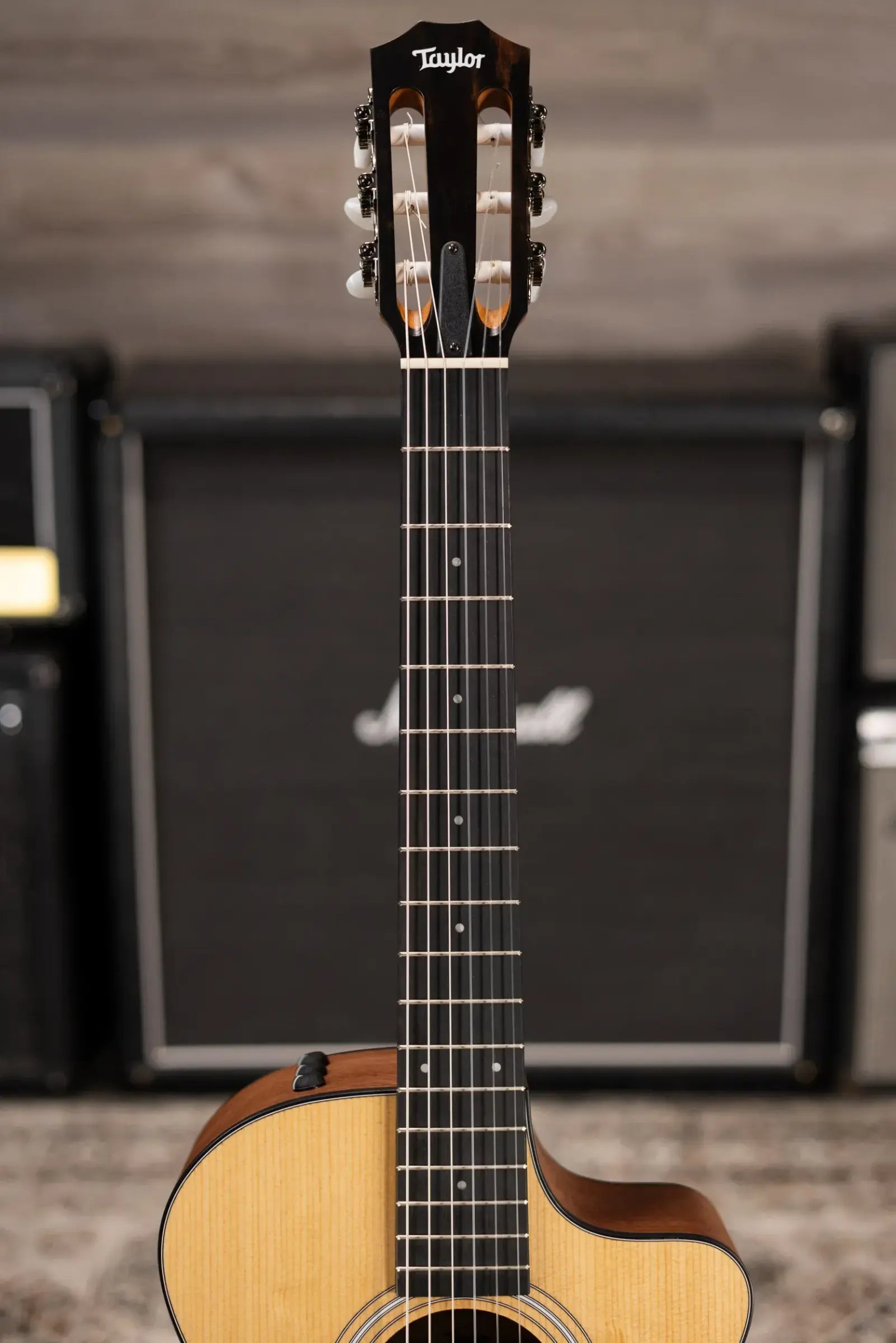 Taylor 112ce-N Nylon Grand Concert Acoustic/Electric Guitar with Gig Bag