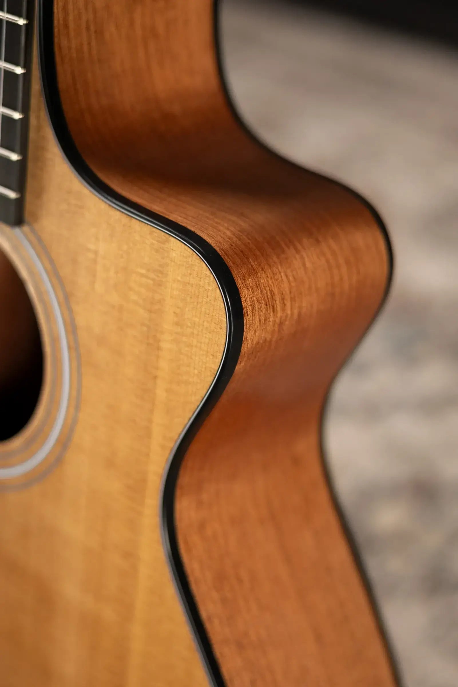 Taylor 112ce-N Nylon Grand Concert Acoustic/Electric Guitar with Gig Bag