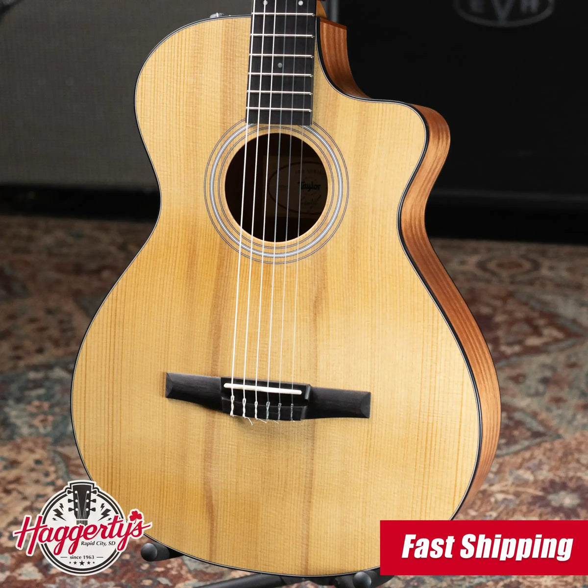 Taylor 112ce-N Nylon Grand Concert Acoustic/Electric Guitar with Gig Bag