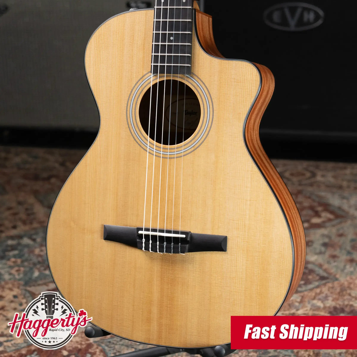Taylor 112ce-N Nylon Grand Concert Acoustic/Electric Guitar with Gig Bag