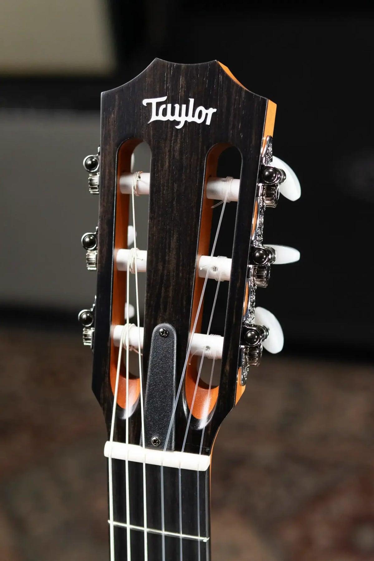 Taylor 112ce-N Nylon Grand Concert Acoustic/Electric Guitar with Gig Bag