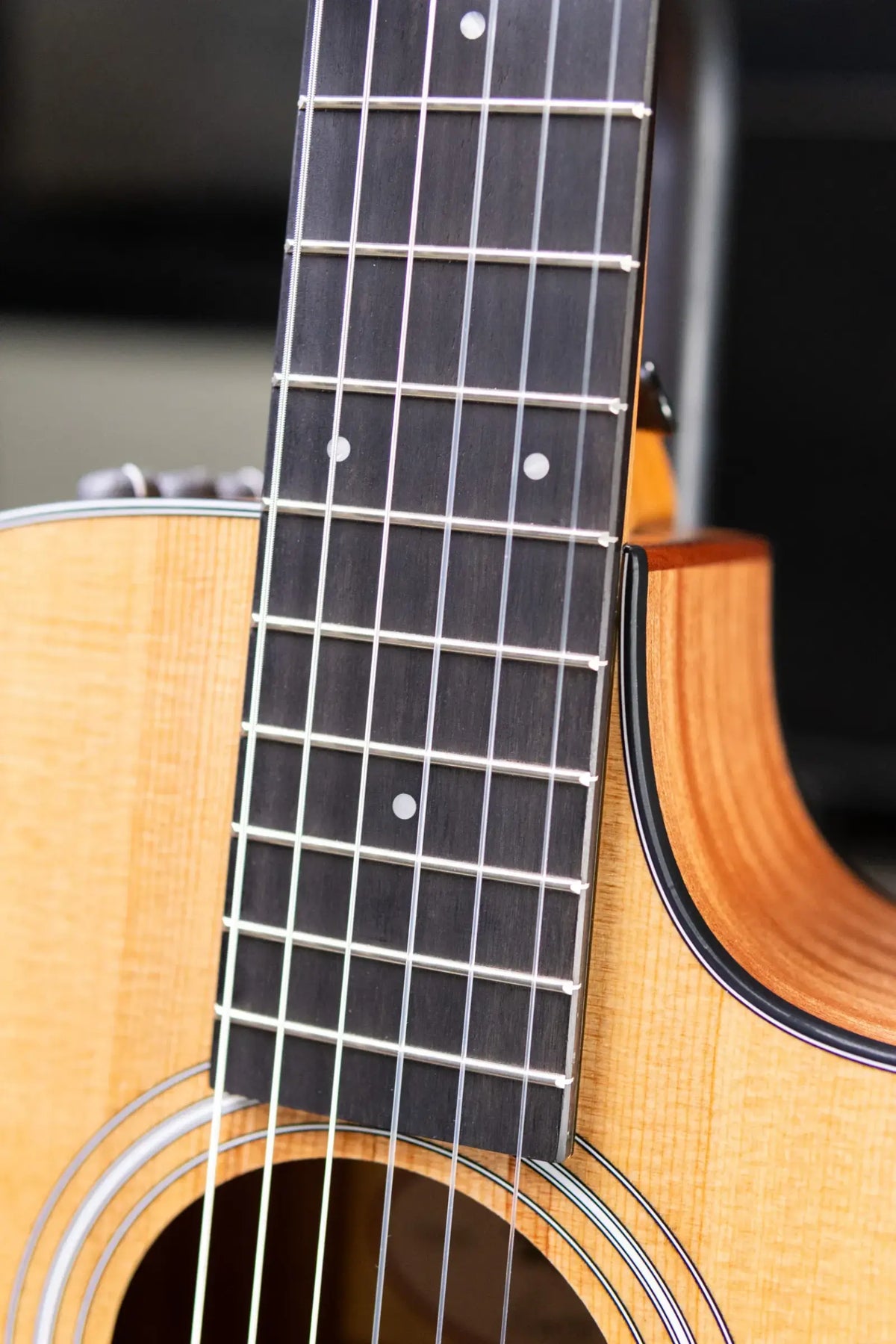 Taylor 112ce-N Nylon Grand Concert Acoustic/Electric Guitar with Gig Bag