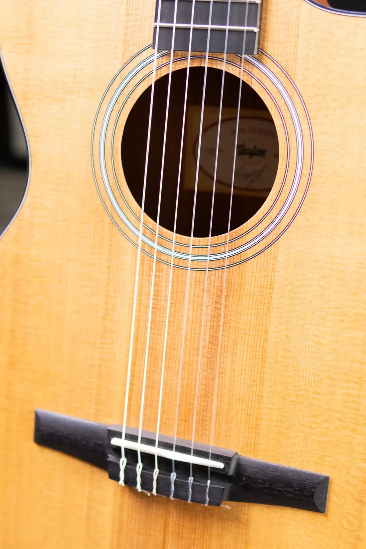 Taylor 112ce-N Nylon Grand Concert Acoustic/Electric Guitar with Gig Bag