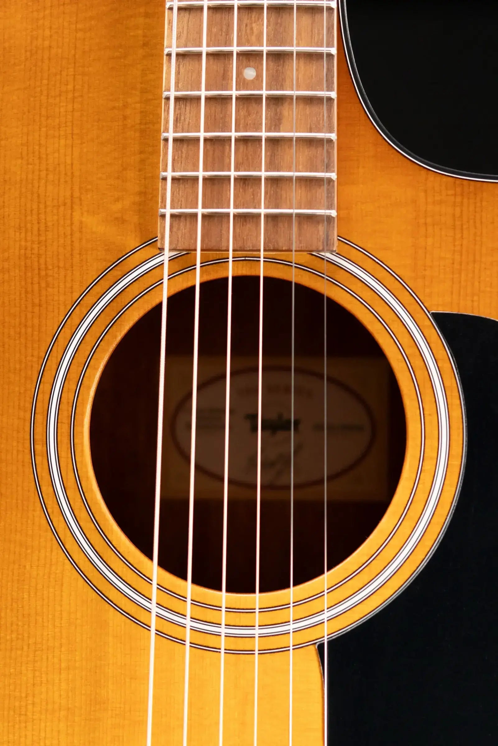 Taylor 112ce Special Edition Grand Concert Acoustic/Electric Guitar - Honeyburst with Gig Bag