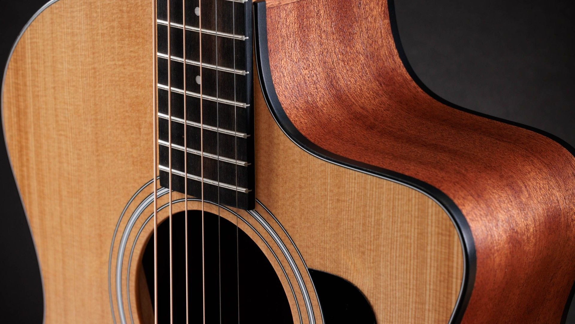 Taylor 114ce Acoustic-Electric Guitar with Structured Gig Bag