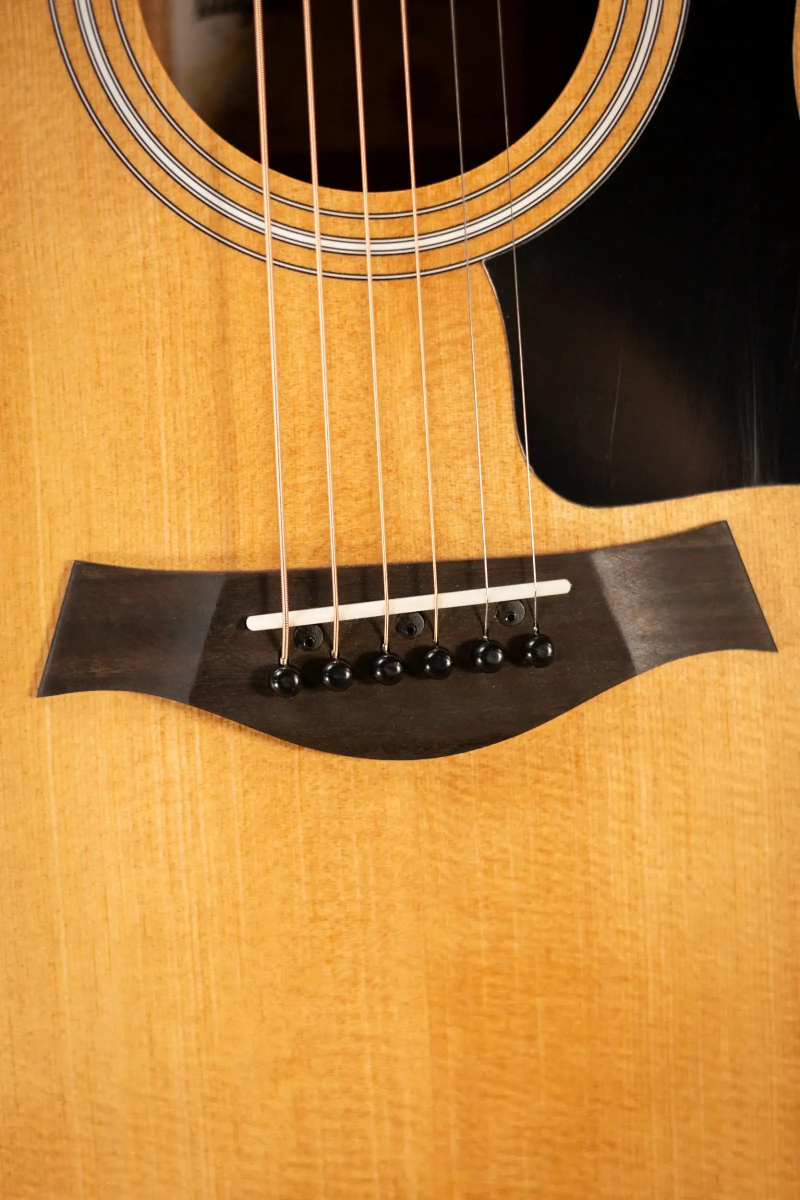 Taylor 114ce Grand Auditorium Acoustic/Electric Guitar - Sapele with Gig Bag - Factory Demo