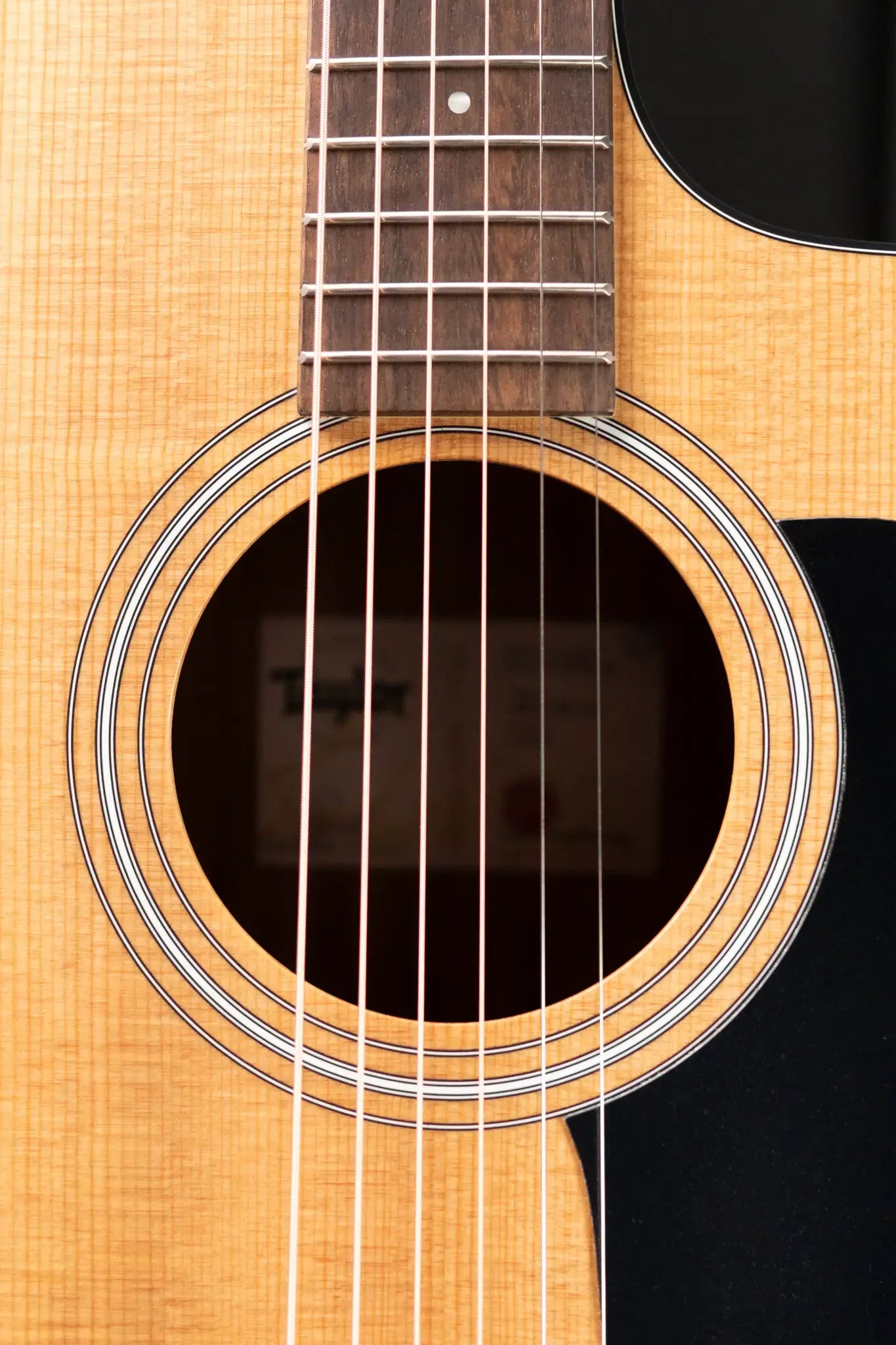 Taylor 114ce Grand Auditorium Acoustic/Electric Guitar with Gig Bag