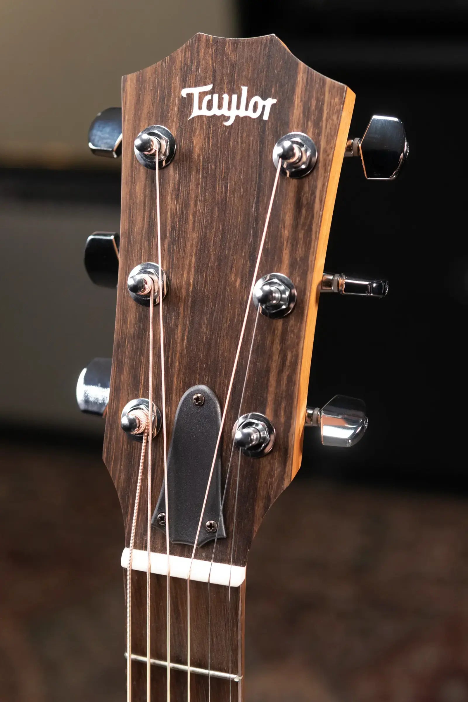 Taylor 114ce Grand Auditorium Acoustic/Electric Guitar with Gig Bag