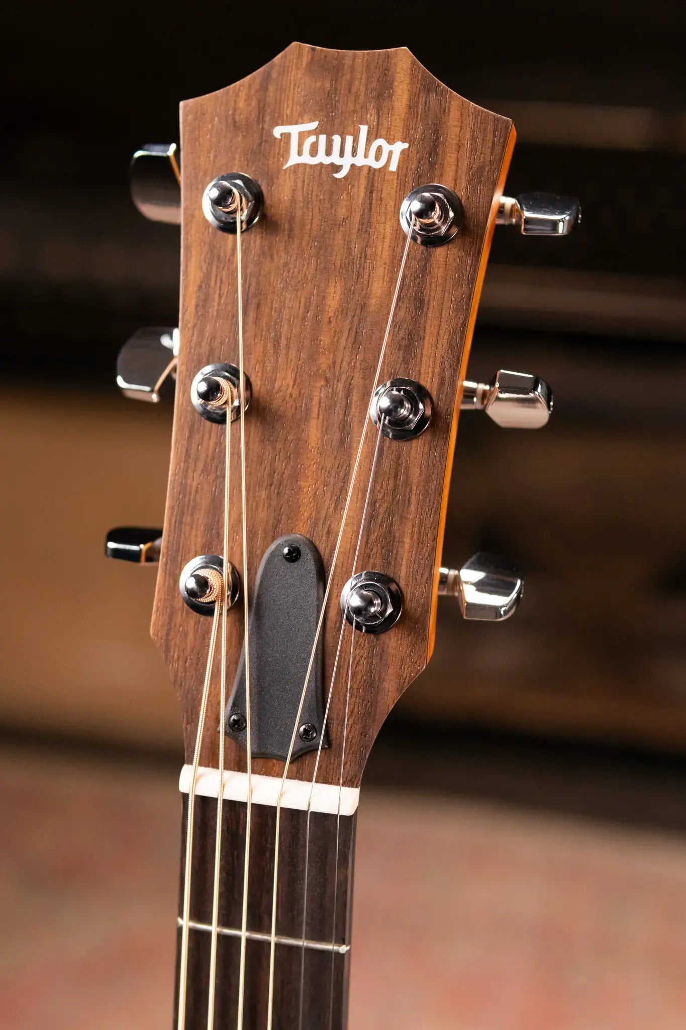 Taylor 114ce Grand Auditorium Acoustic/Electric Guitar with Gig Bag