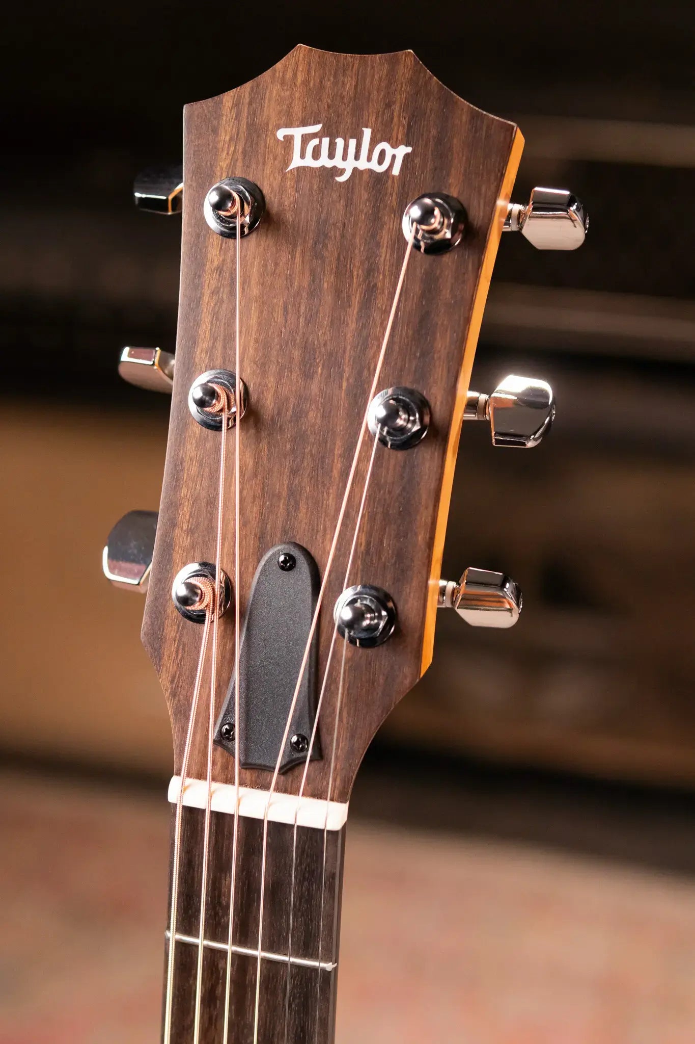 Taylor 114ce Grand Auditorium Acoustic/Electric Guitar with Gig Bag