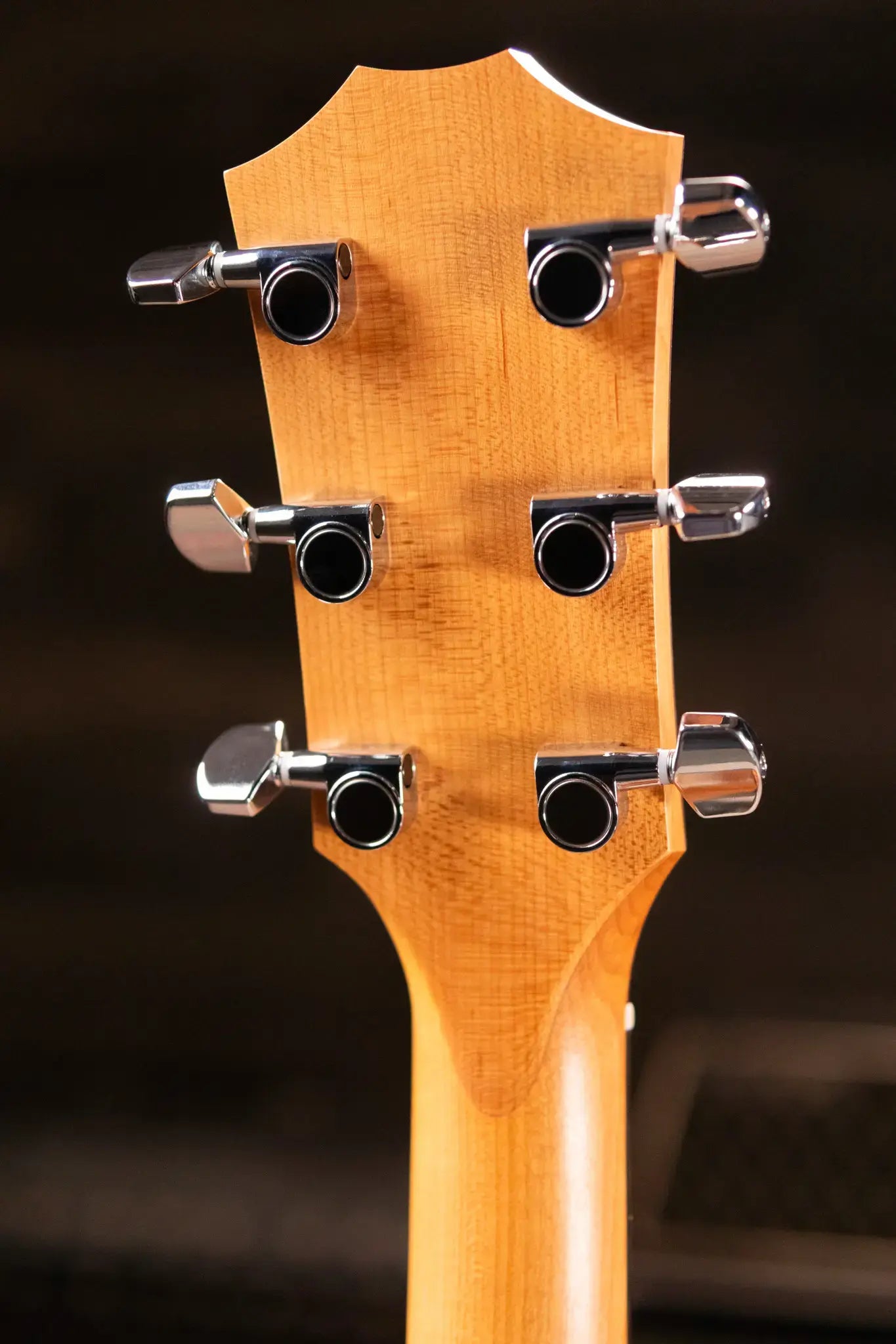 Taylor 114ce Grand Auditorium Acoustic/Electric Guitar with Gig Bag