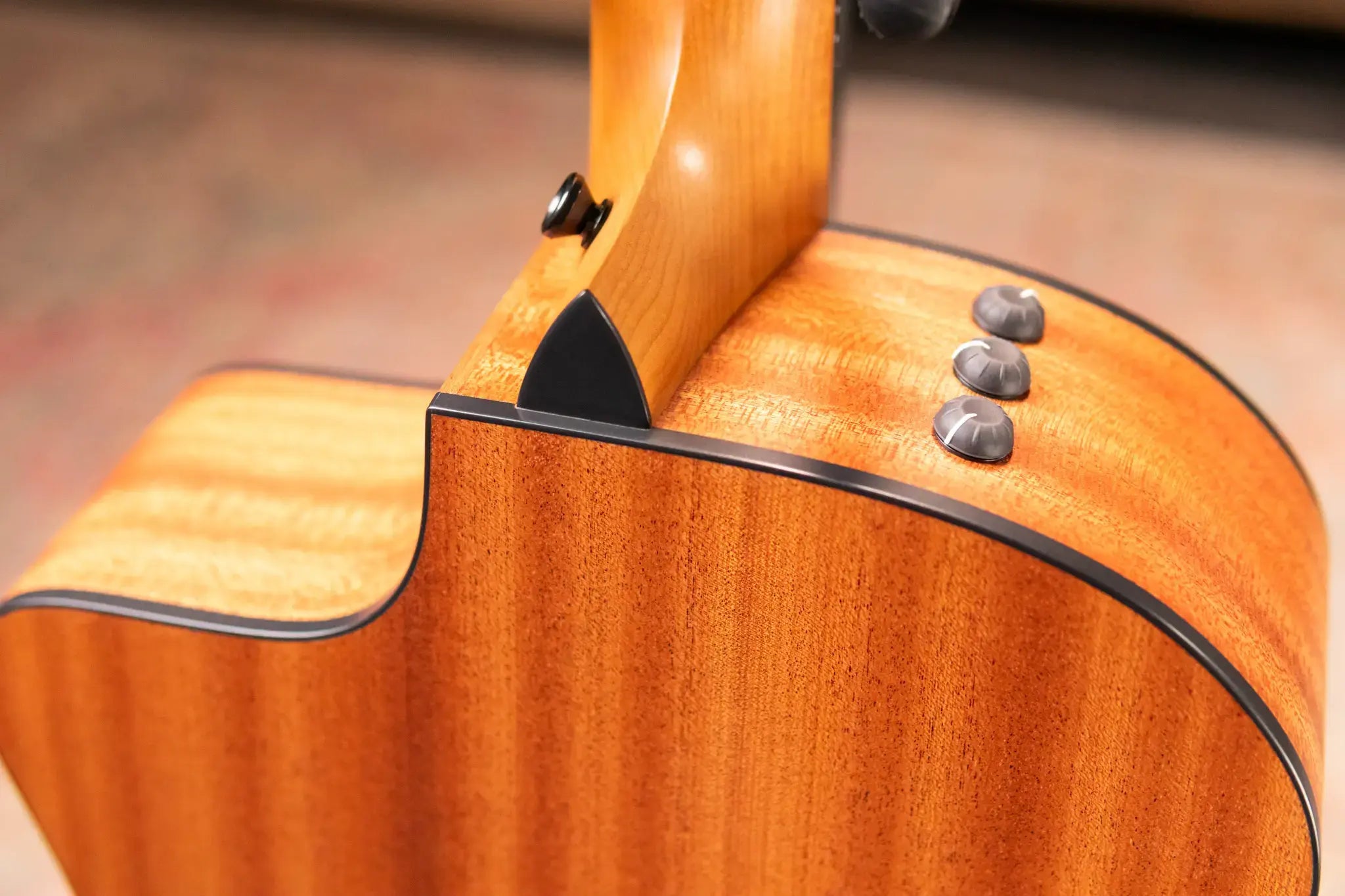 Taylor 114ce Grand Auditorium Acoustic/Electric Guitar with Gig Bag