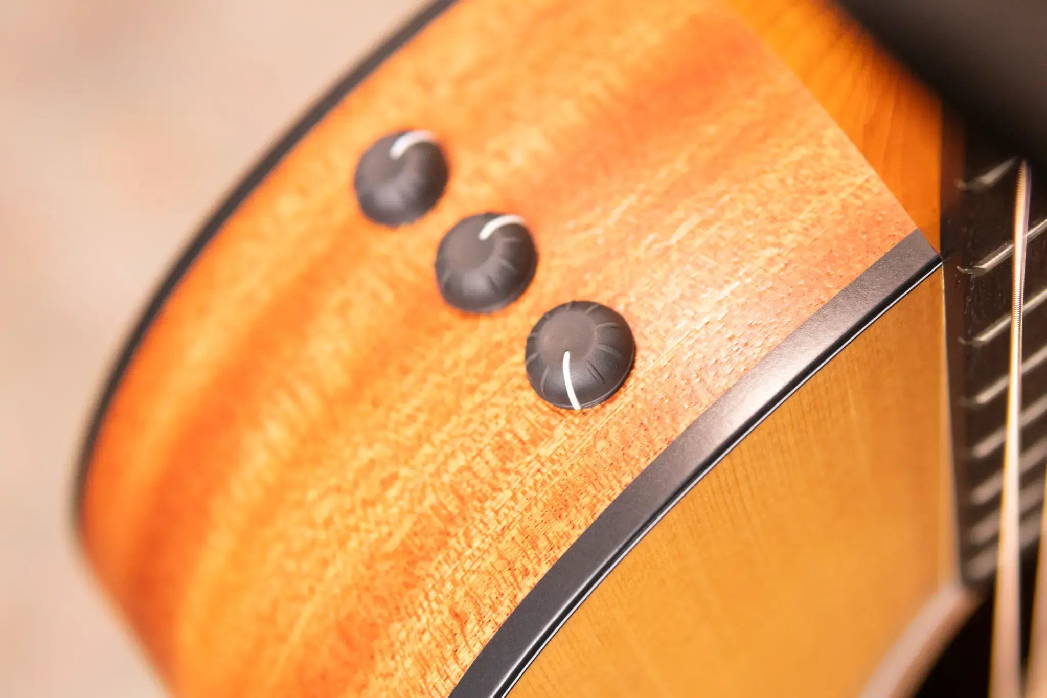 Taylor 114ce Grand Auditorium Acoustic/Electric Guitar with Gig Bag