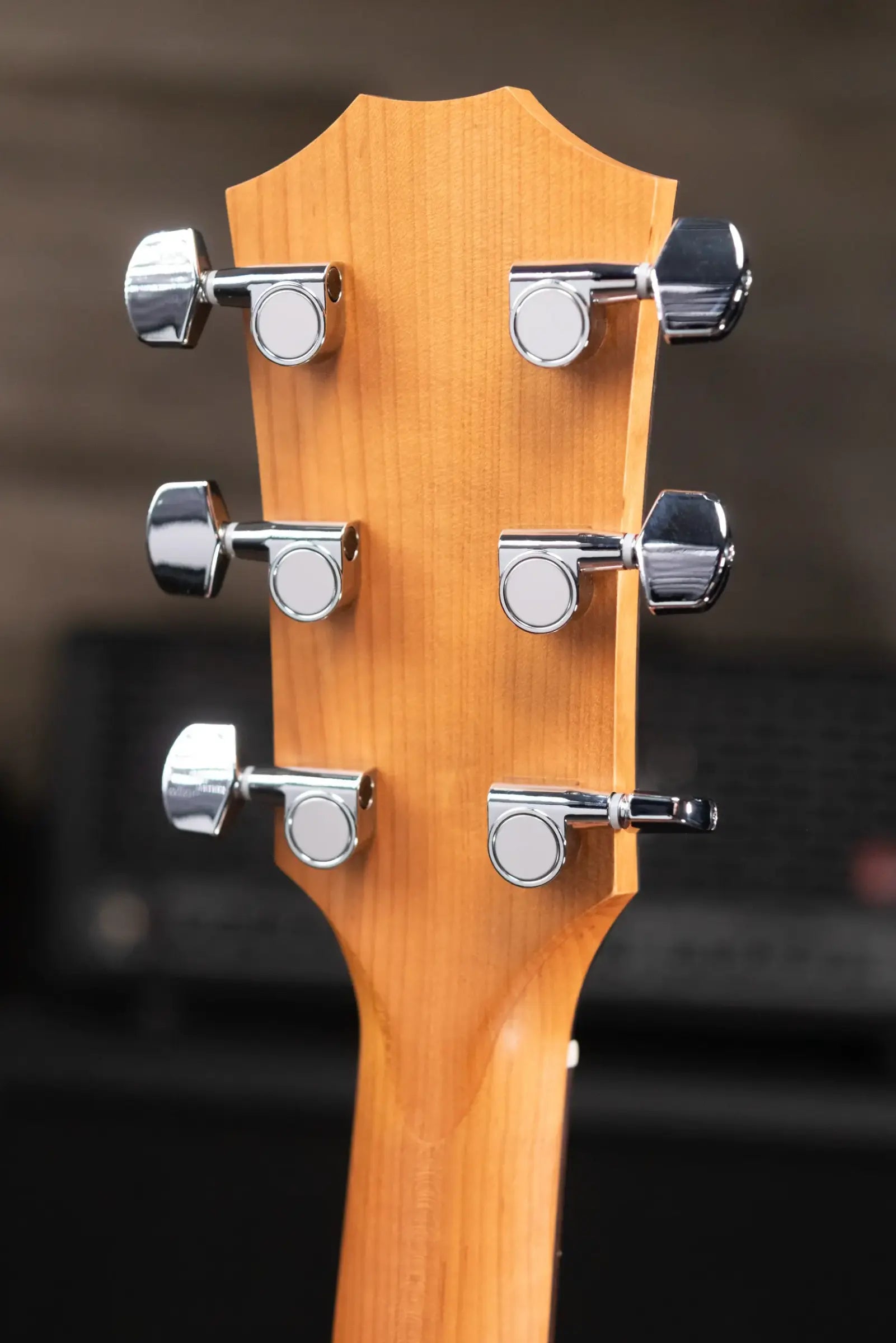 Taylor 114ce Grand Auditorium Acoustic/Electric Guitar with Gig Bag