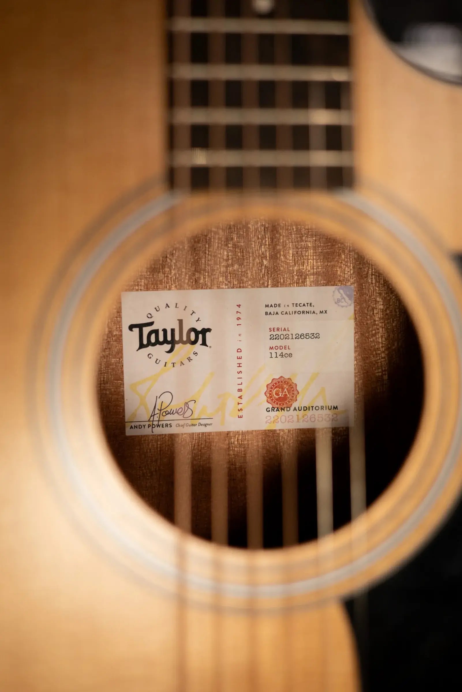 Taylor 114ce Grand Auditorium Acoustic-Electric Guitar with Gig Bag