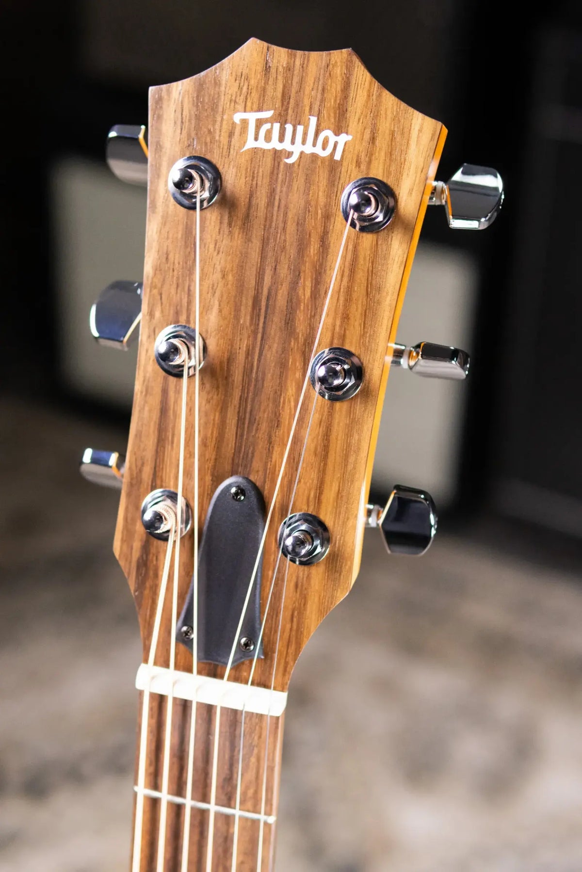 Taylor 114ce Grand Auditorium Acoustic/Electric Guitar with Gig Bag