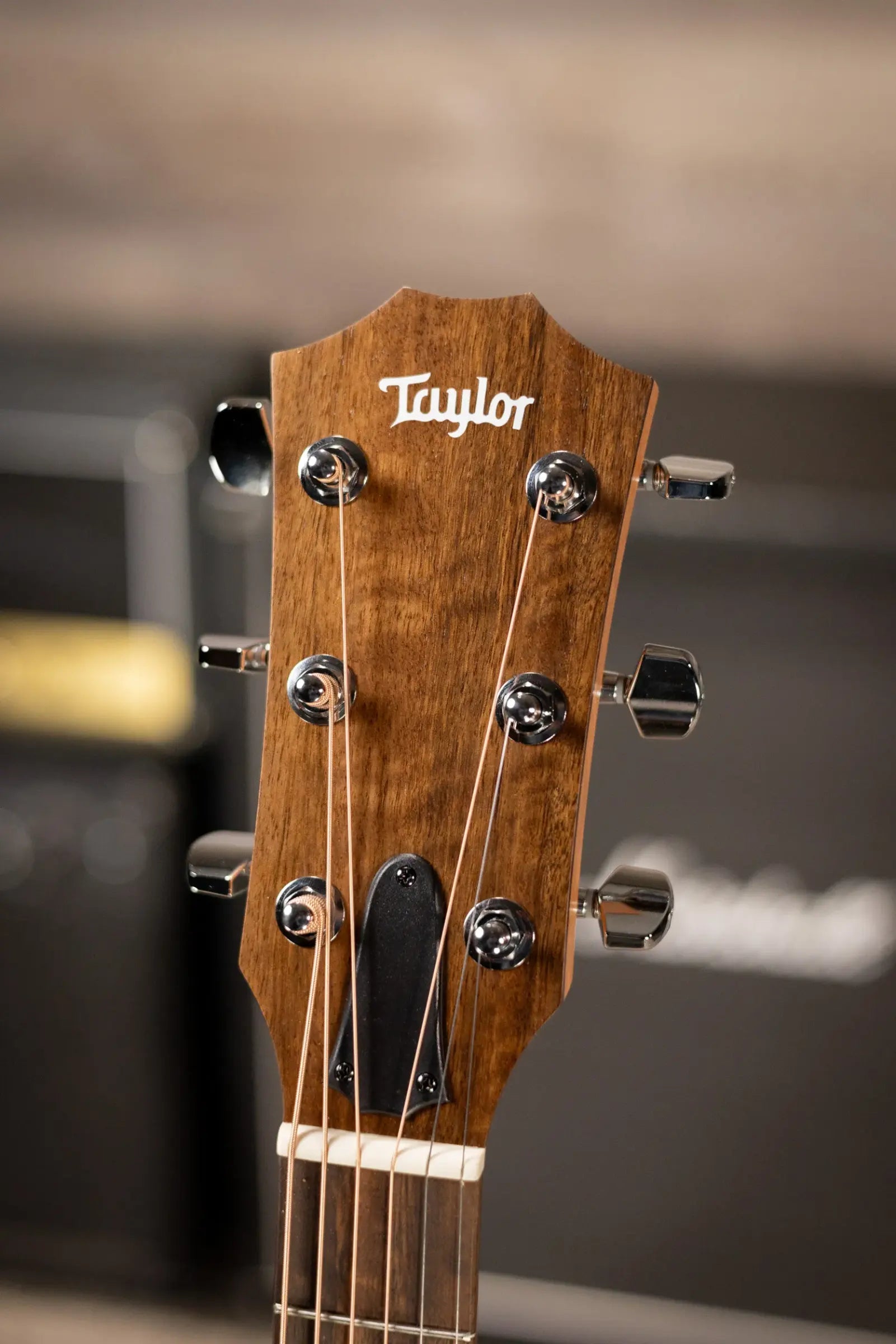 Taylor 114ce Grand Auditorium Acoustic-Electric Guitar with Structured Gig Bag