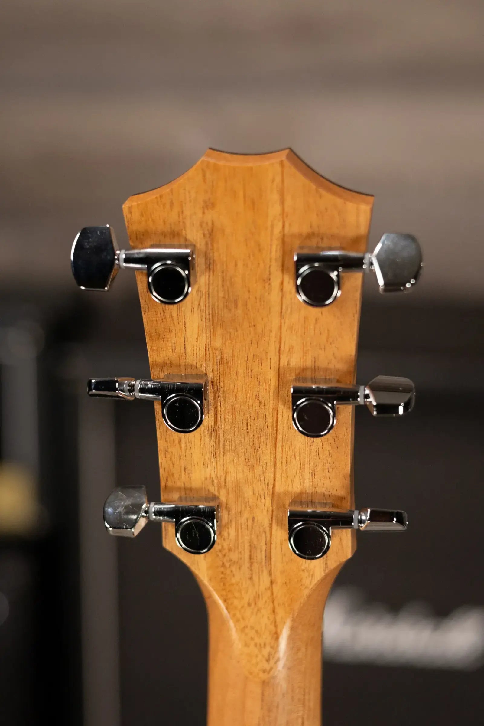 Taylor 114ce Special Edition Grand Auditorium Acoustic/Electric Guitar - Dark Tobacco Shaded Edgeburst with Gig Bag