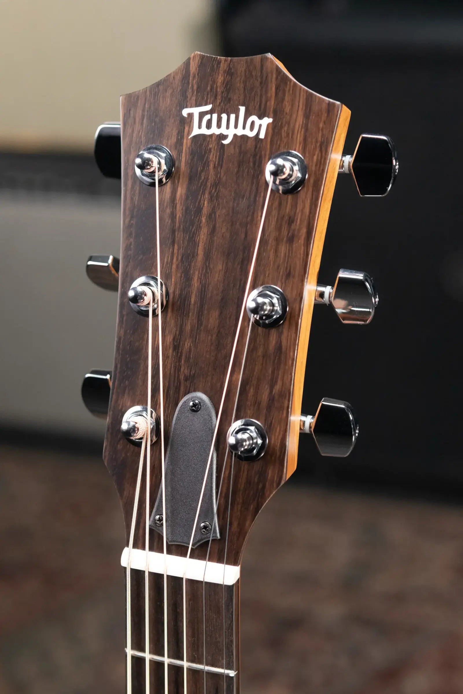 Taylor 117e Grand Pacific Acoustic/Electric Guitar with Gig Bag