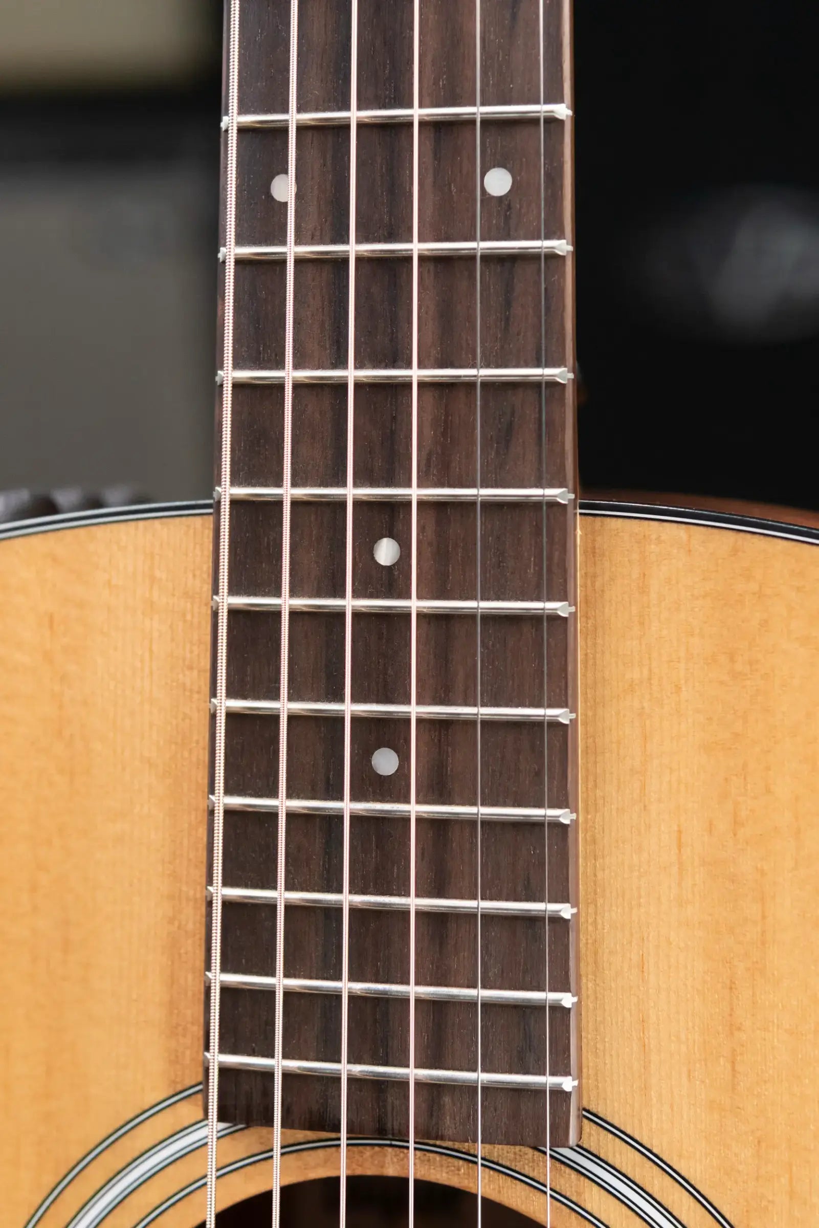 Taylor 117e Grand Pacific Acoustic/Electric Guitar with Gig Bag