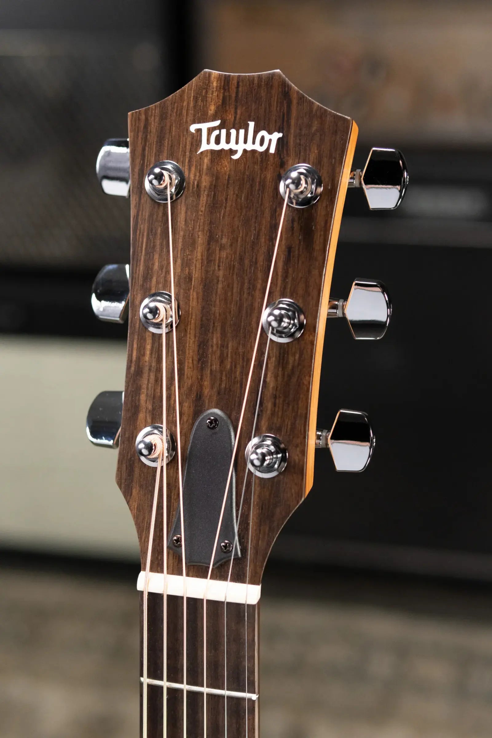 Taylor 117e Grand Pacific Acoustic/Electric Guitar with Gig Bag - Factory Demo