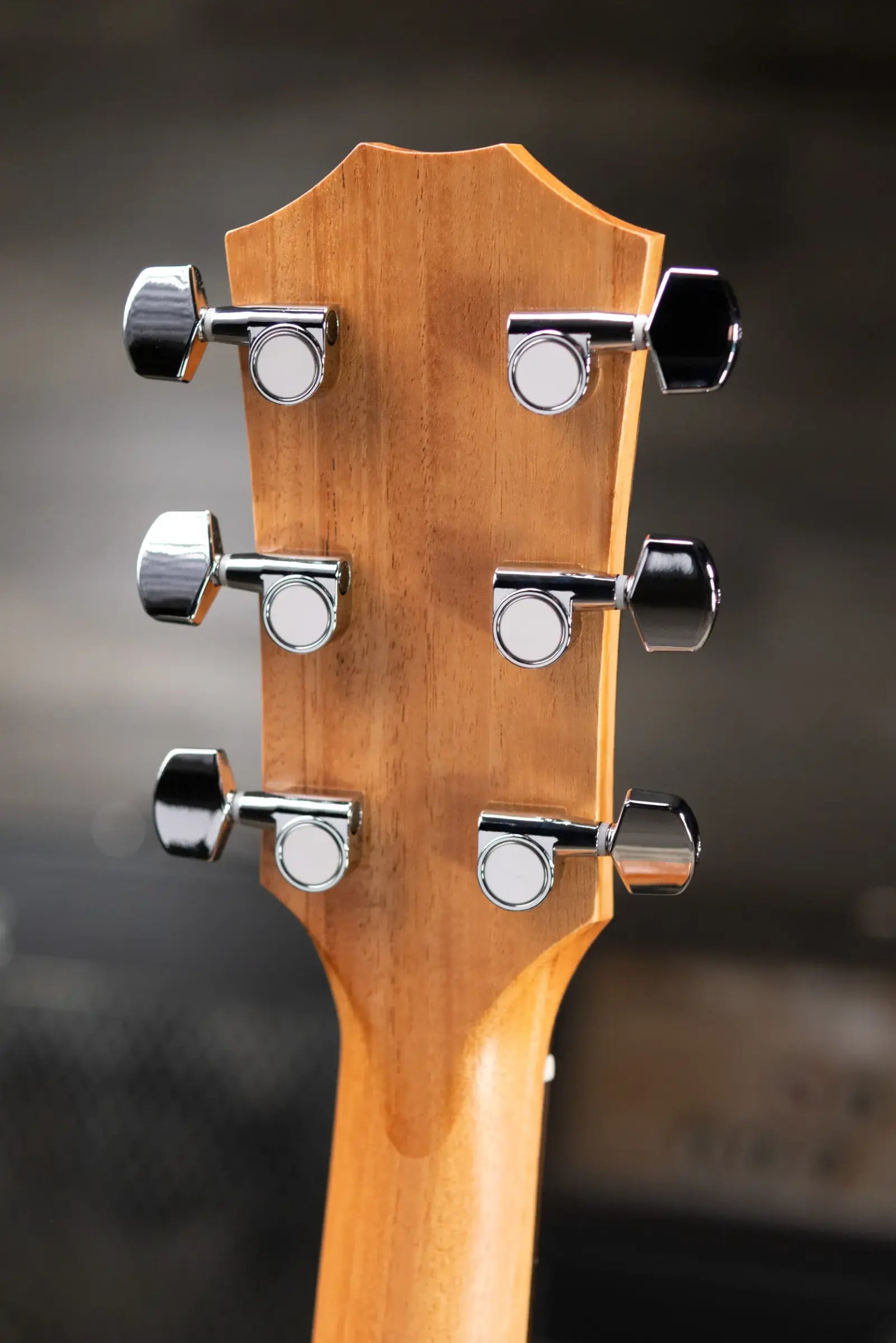 Taylor 117e Grand Pacific Acoustic/Electric Guitar with Gig Bag - Factory Demo