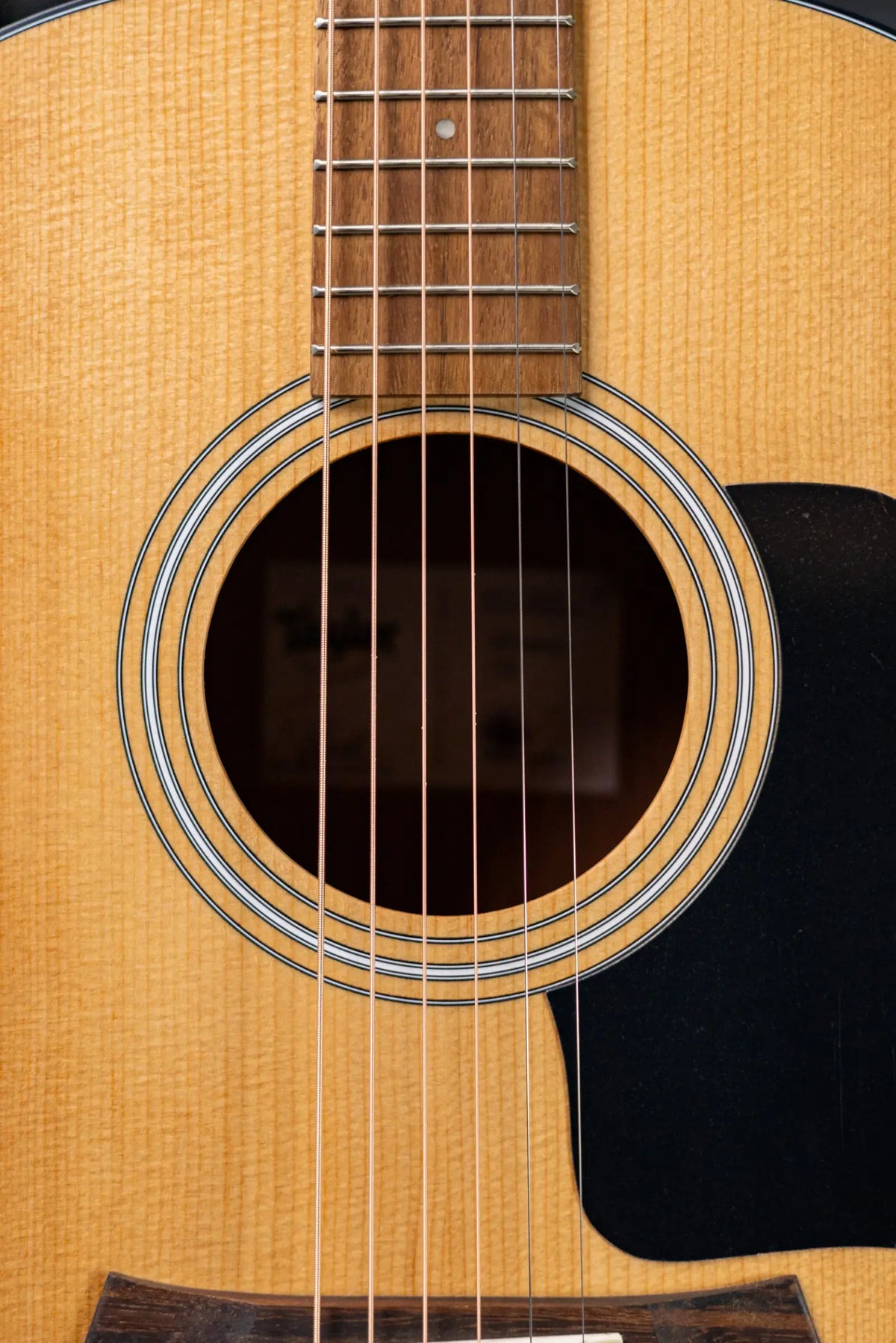 Taylor 117e Grand Pacific Acoustic/Electric Guitar with Gig Bag - Demo