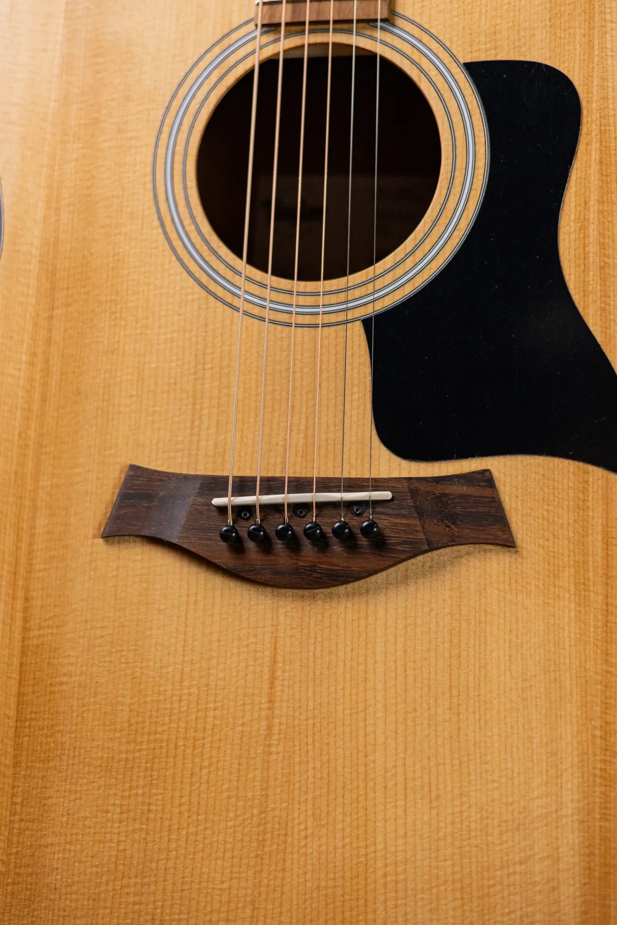 Taylor 117e Grand Pacific Acoustic/Electric Guitar with Gig Bag - Demo