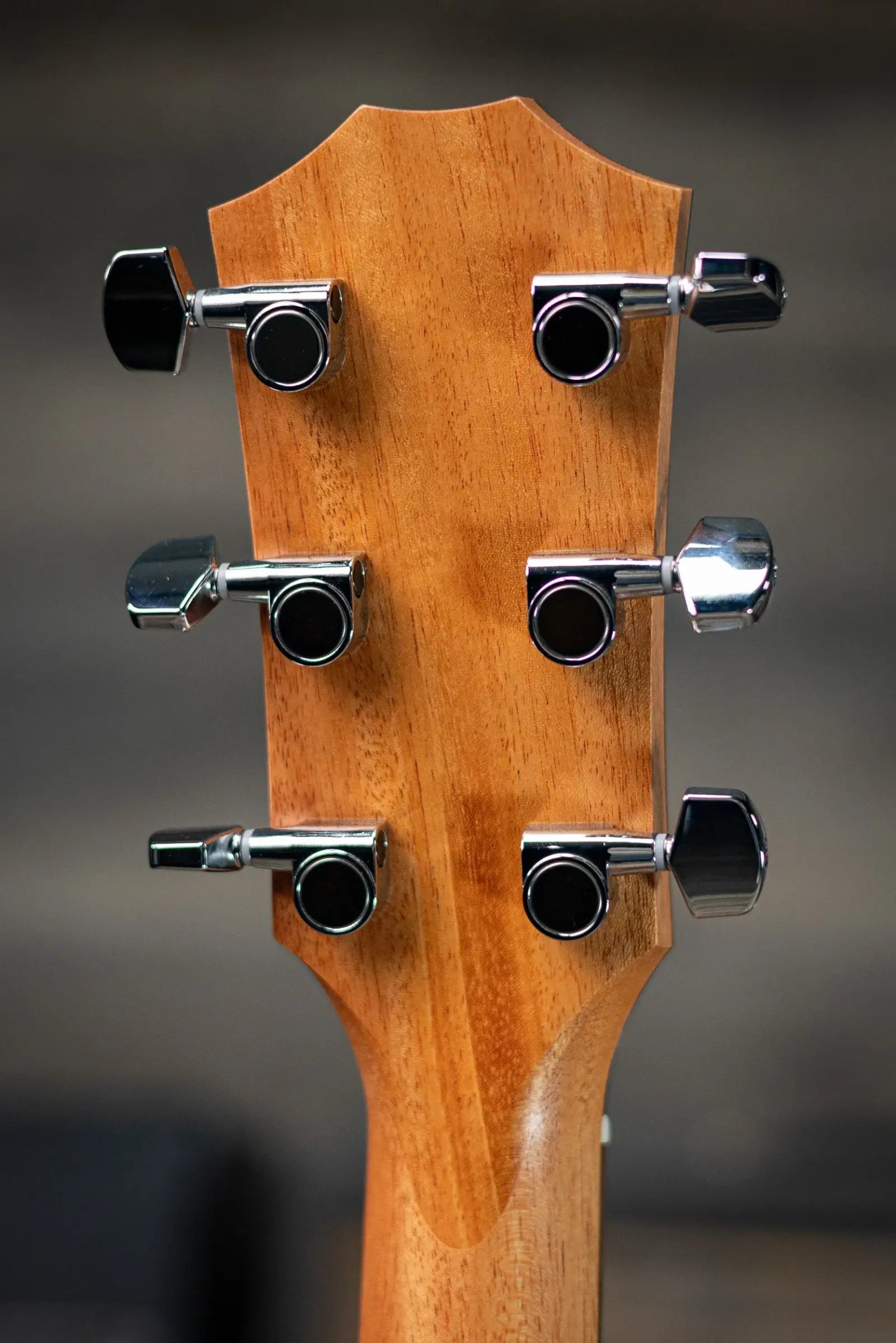 Taylor 117e Grand Pacific Acoustic/Electric Guitar with Gig Bag - Demo