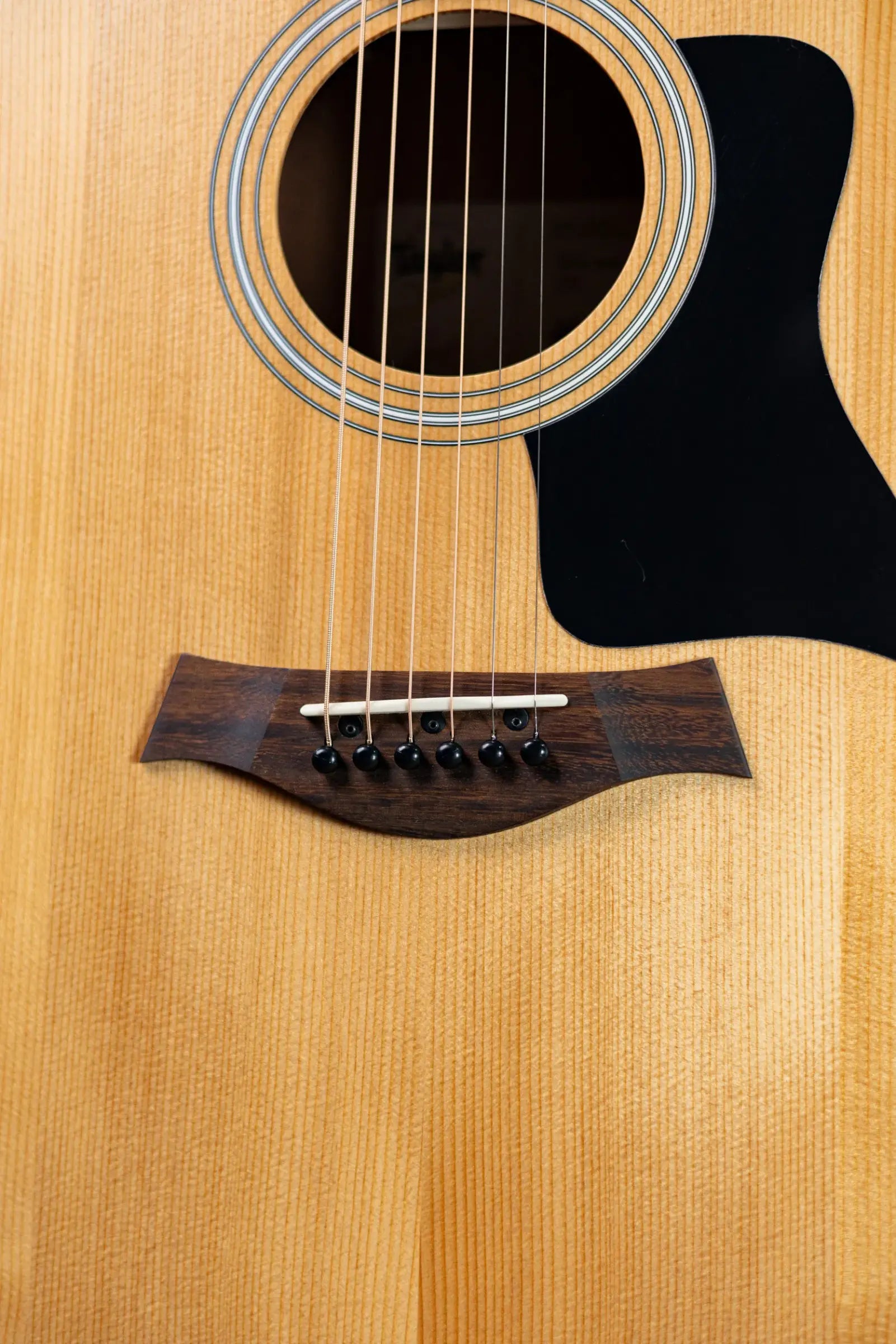 Taylor 117e Grand Pacific Acoustic/Electric Guitar with Gig Bag - Demo