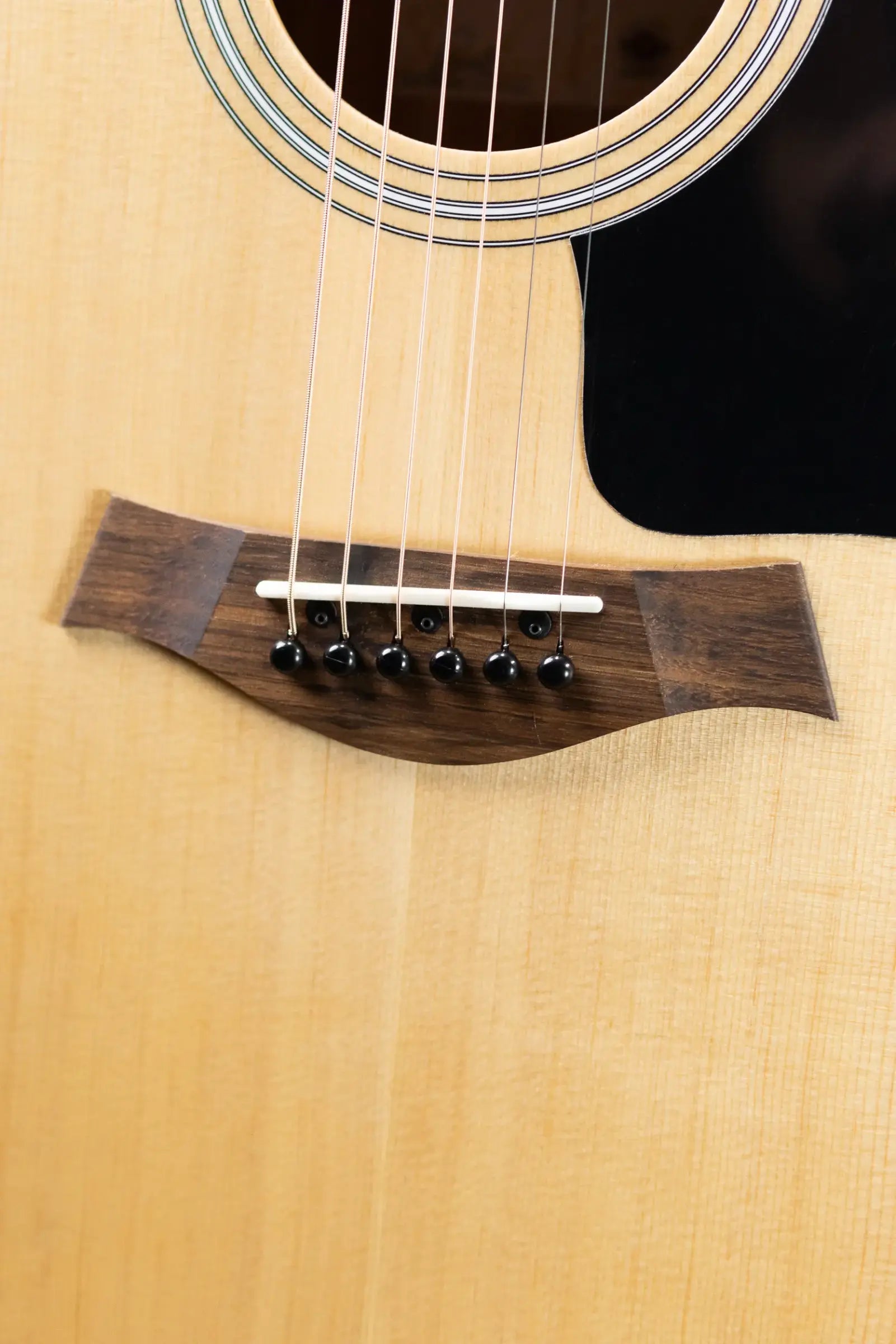 Taylor 117e Grand Pacific Acoustic/Electric Guitar with Gig Bag - Demo