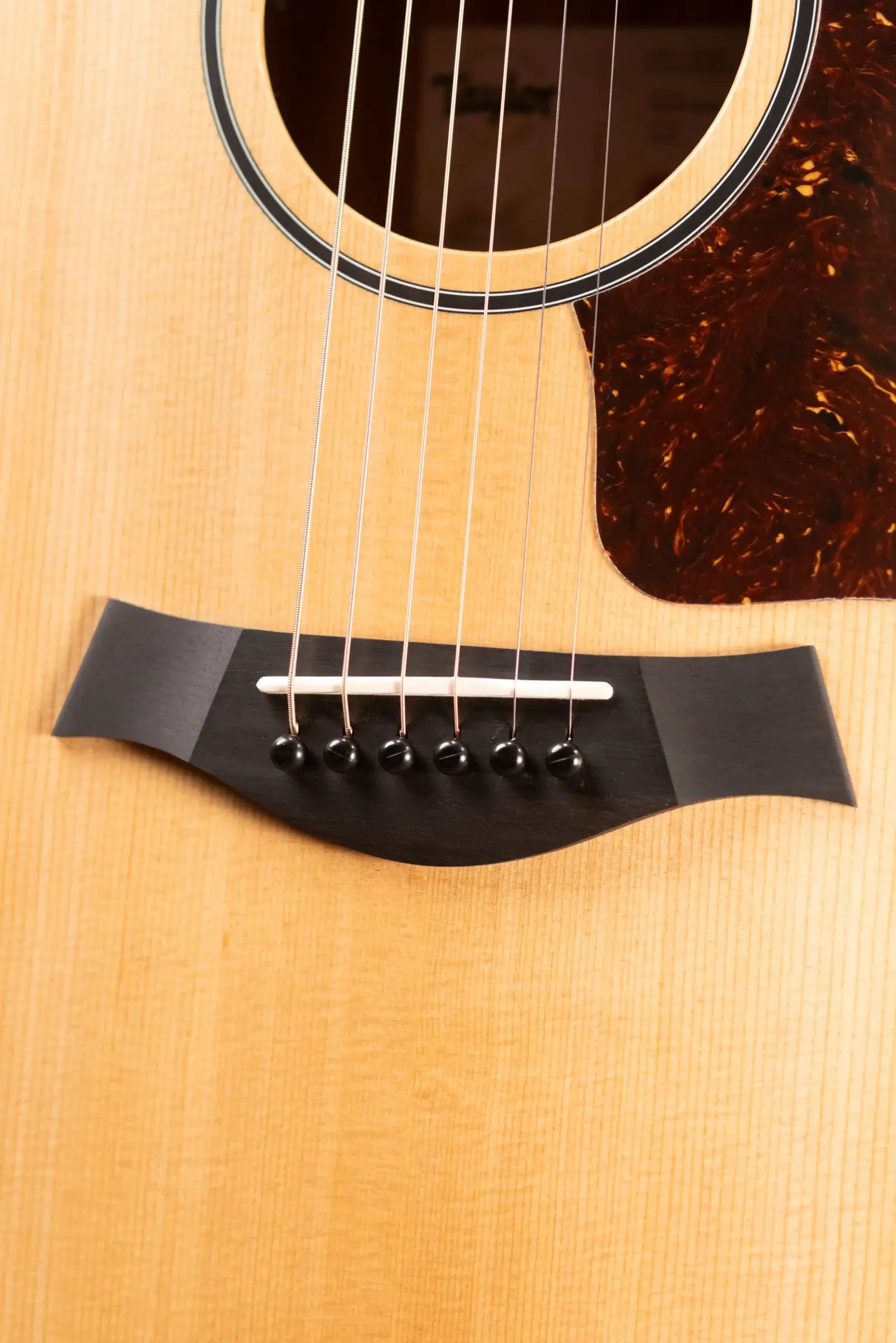 Taylor 14ce Grand Auditorium Acoustic/Electric Guitar with Gig Bag
