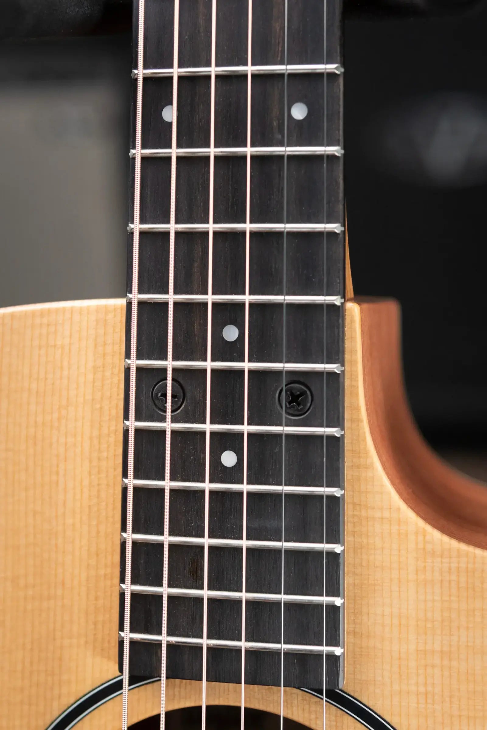 Taylor 14ce Grand Auditorium Acoustic/Electric Guitar with Gig Bag